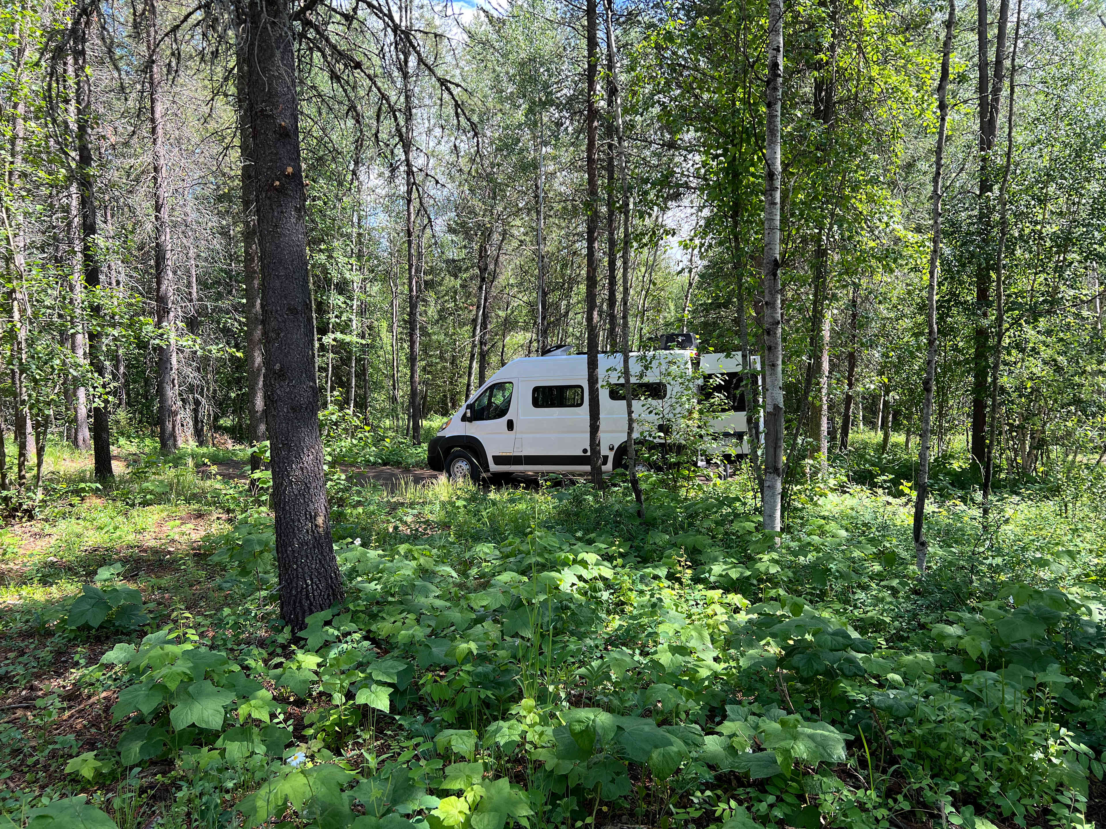 ❤️ Glacier Park HipCamp 🏕️