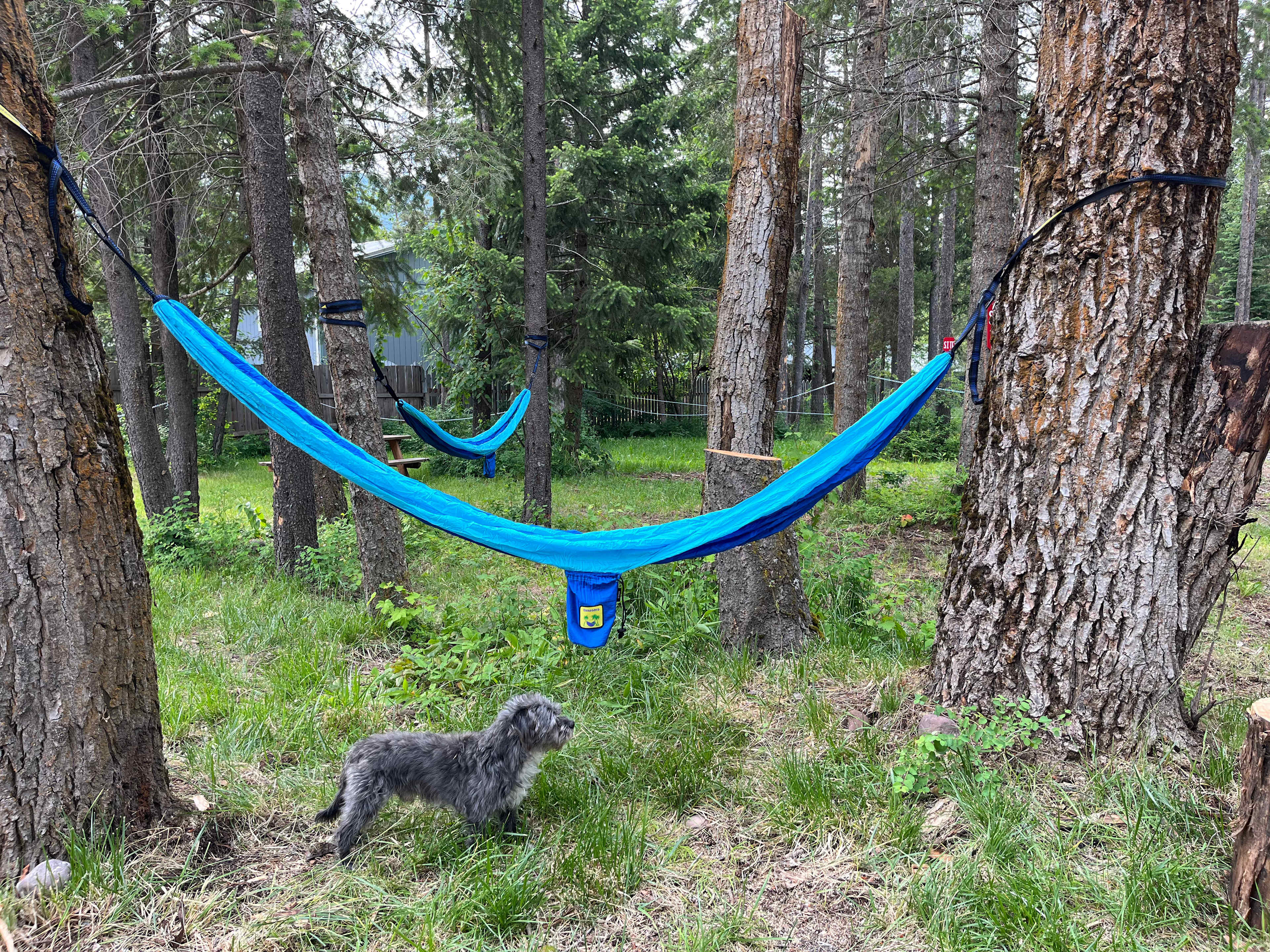 Hammocks set up between sites 2 and 3. All are welcome to use ours already there or put up their own! 