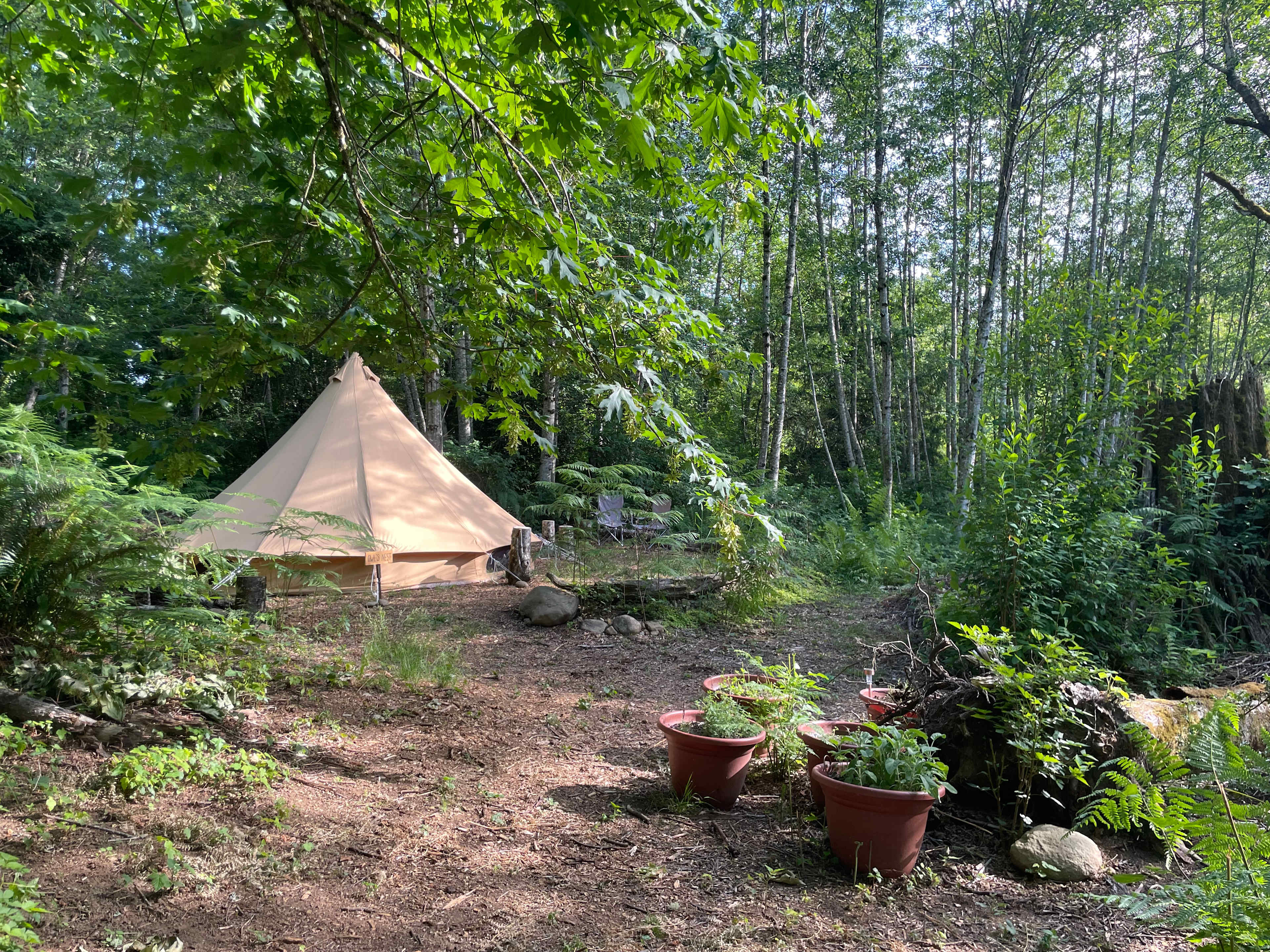 Bumbleberry Woods Camp