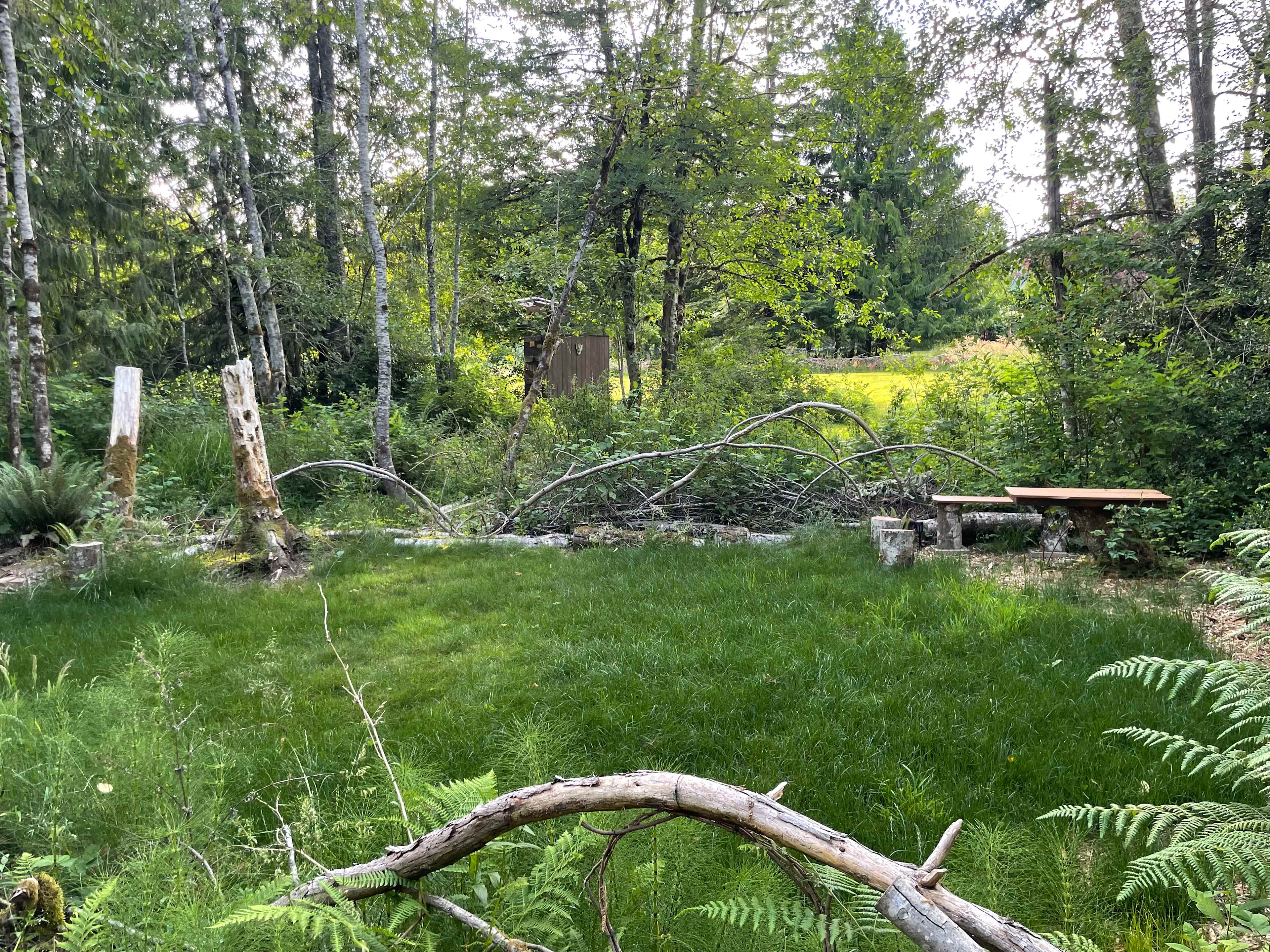 Rabbit's Warren Tent Site