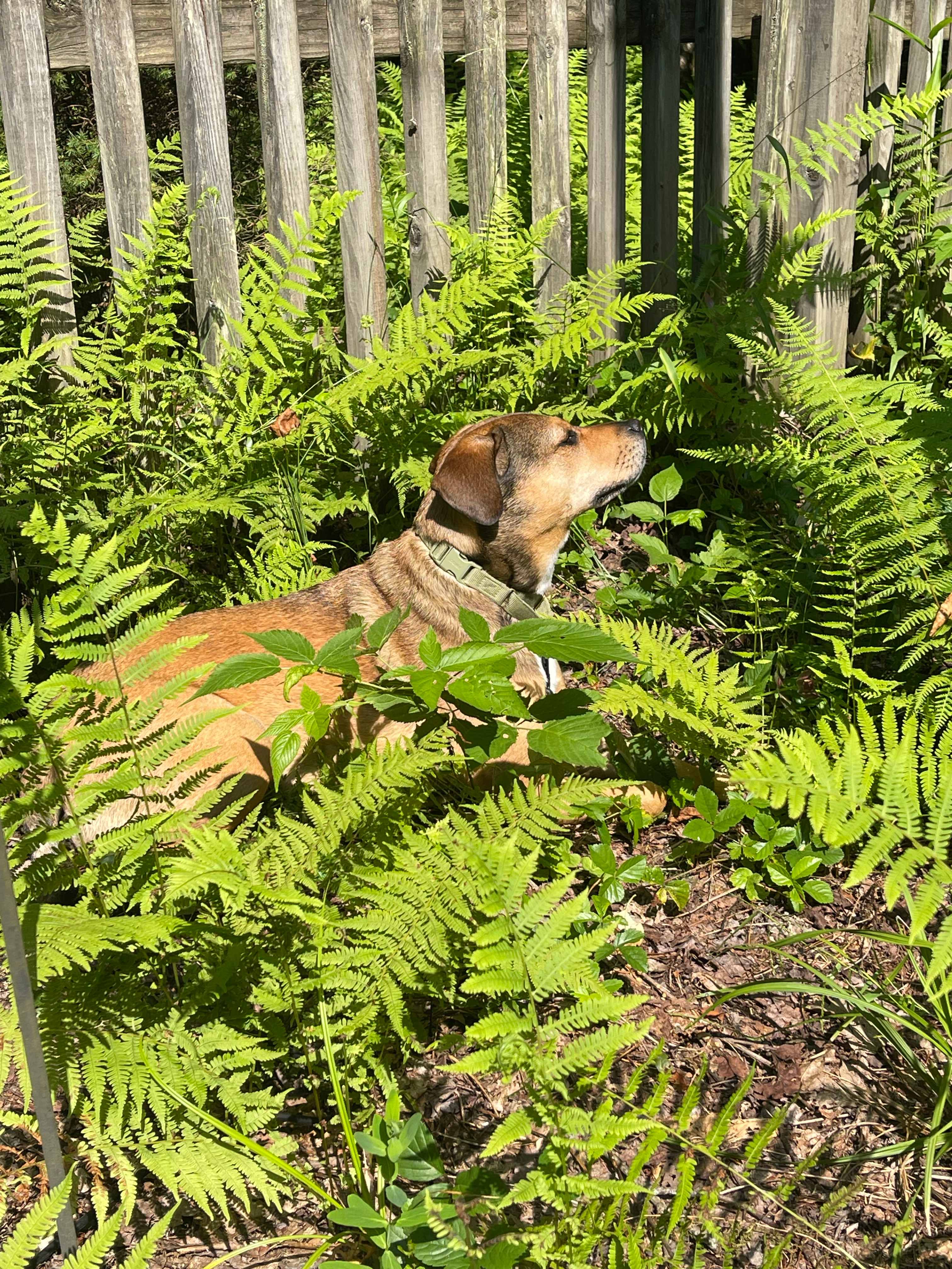 Enjoying the wilds 