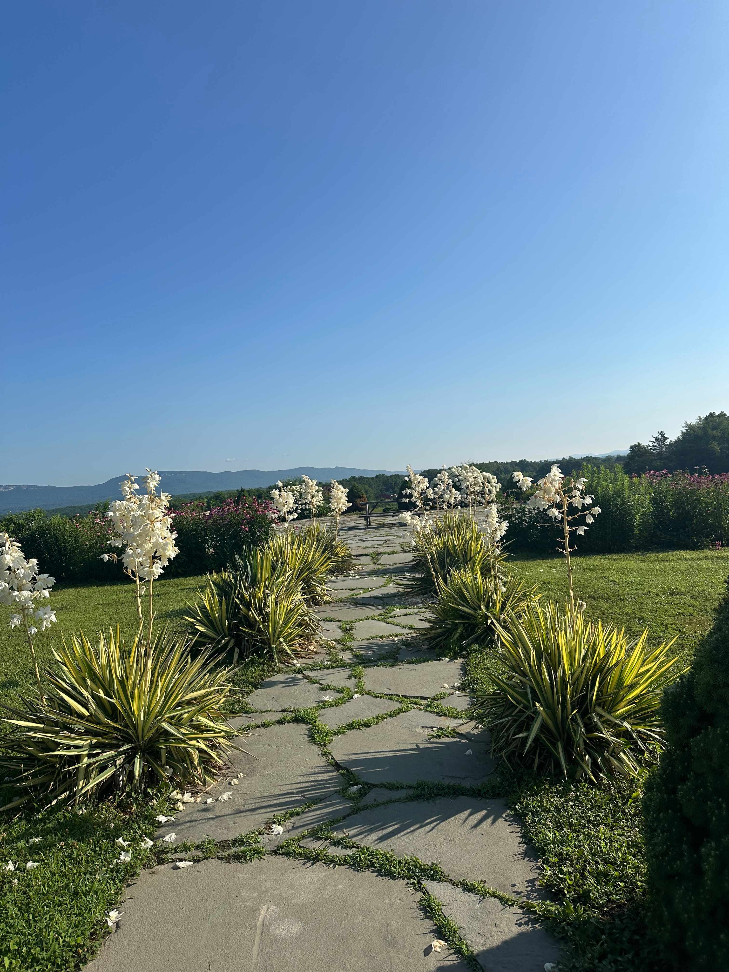 The Mountain Top @Wright's Farm