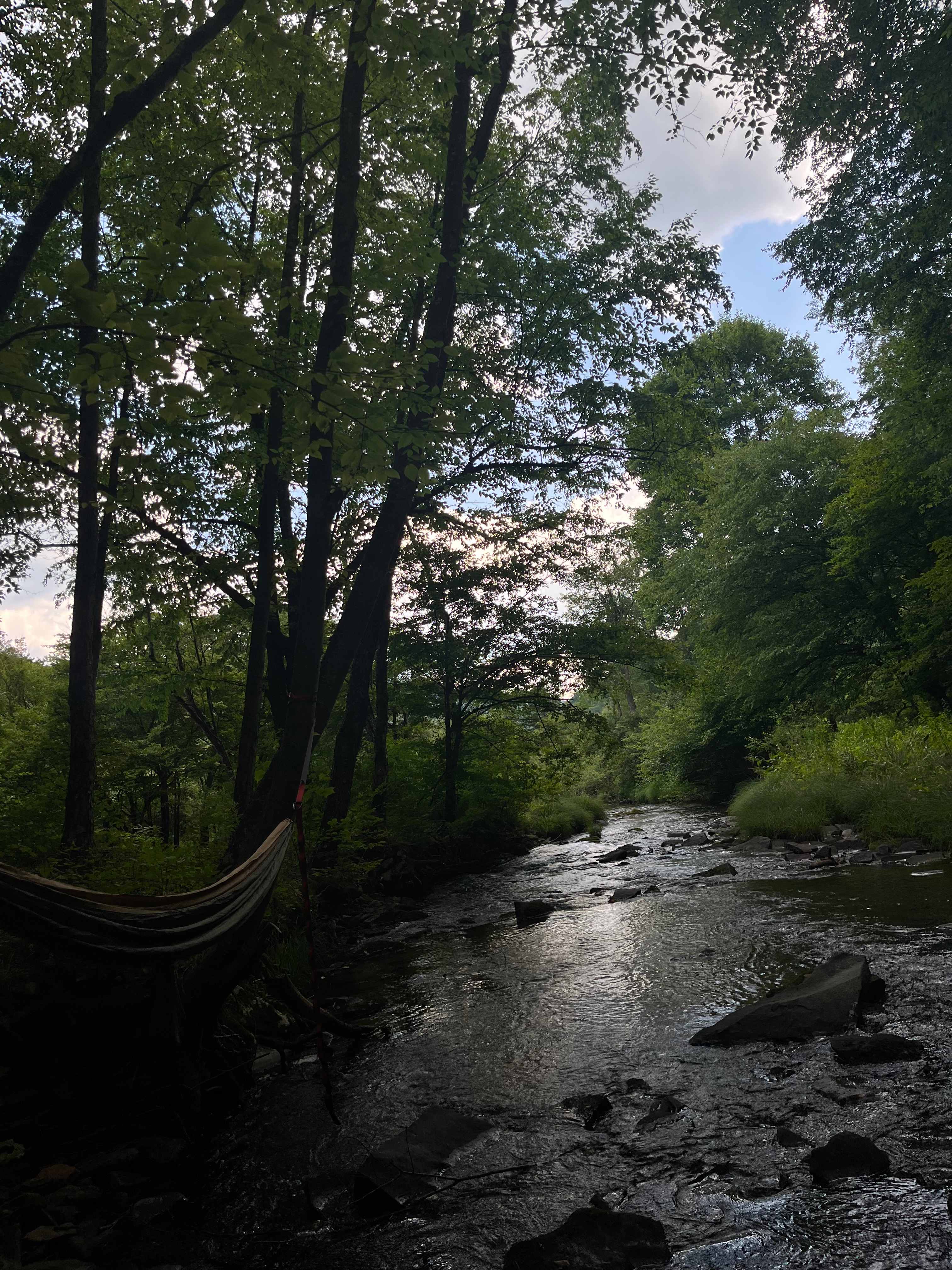 Austin Dam Memorial Park