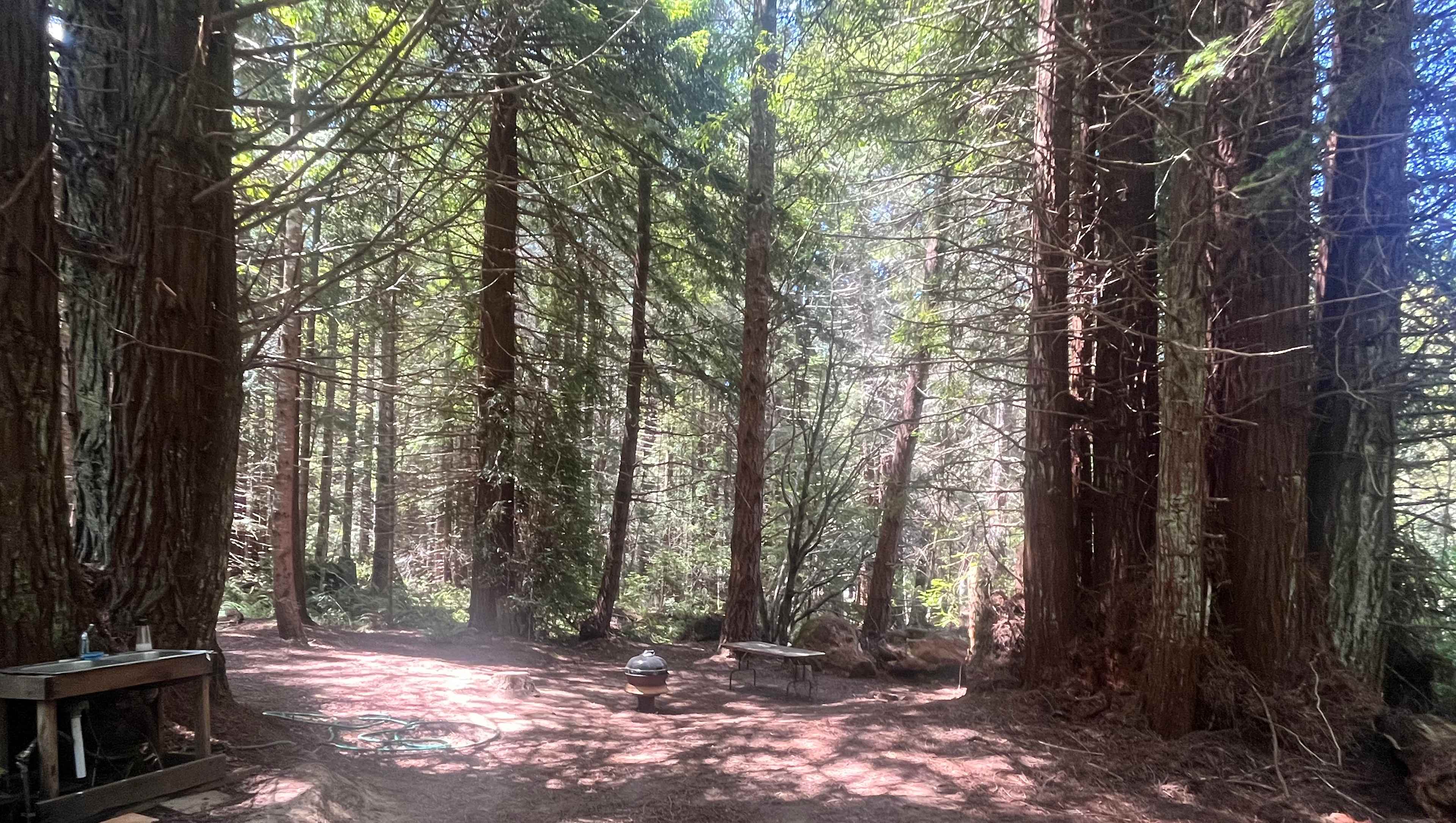 Site 2 campsite 