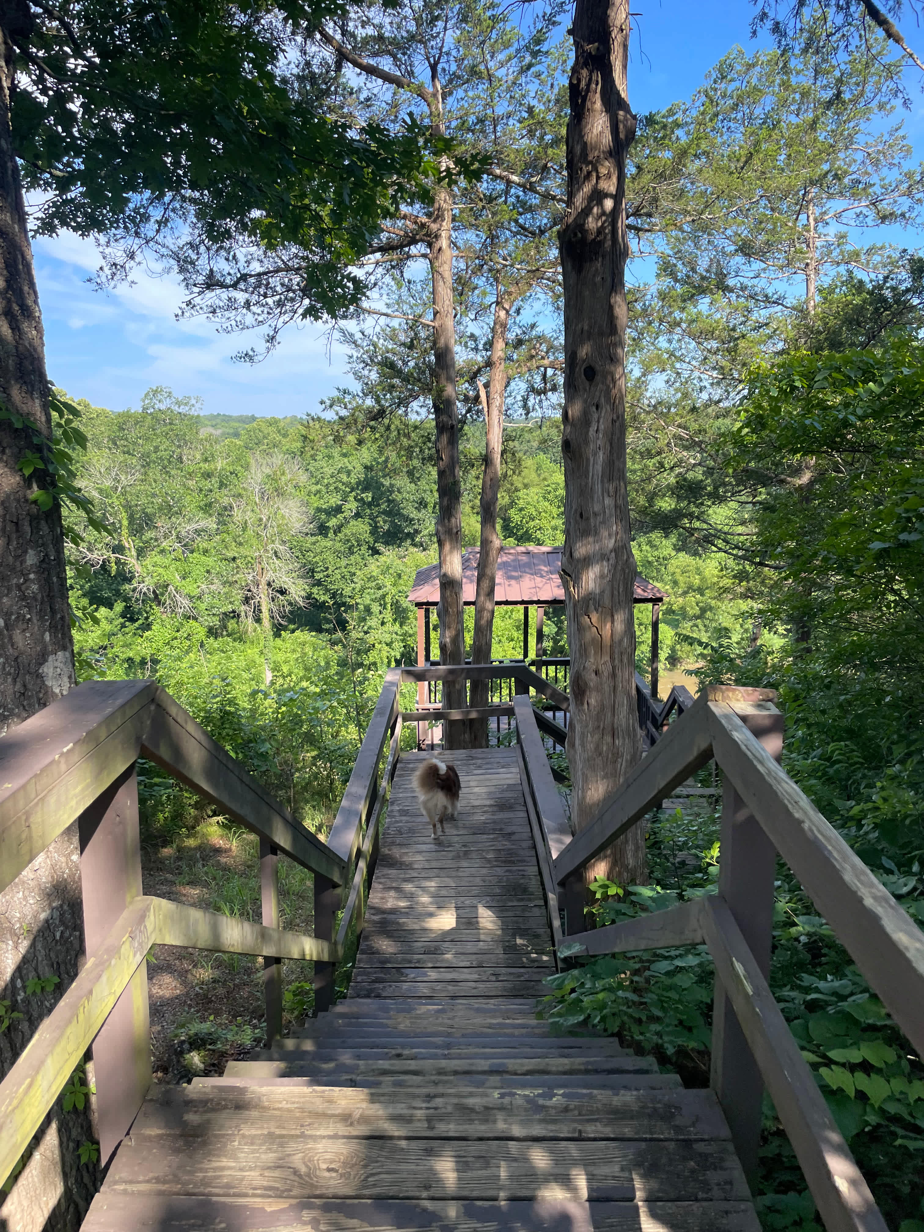 🌲 Nate’s Stream-Side Camping Spot