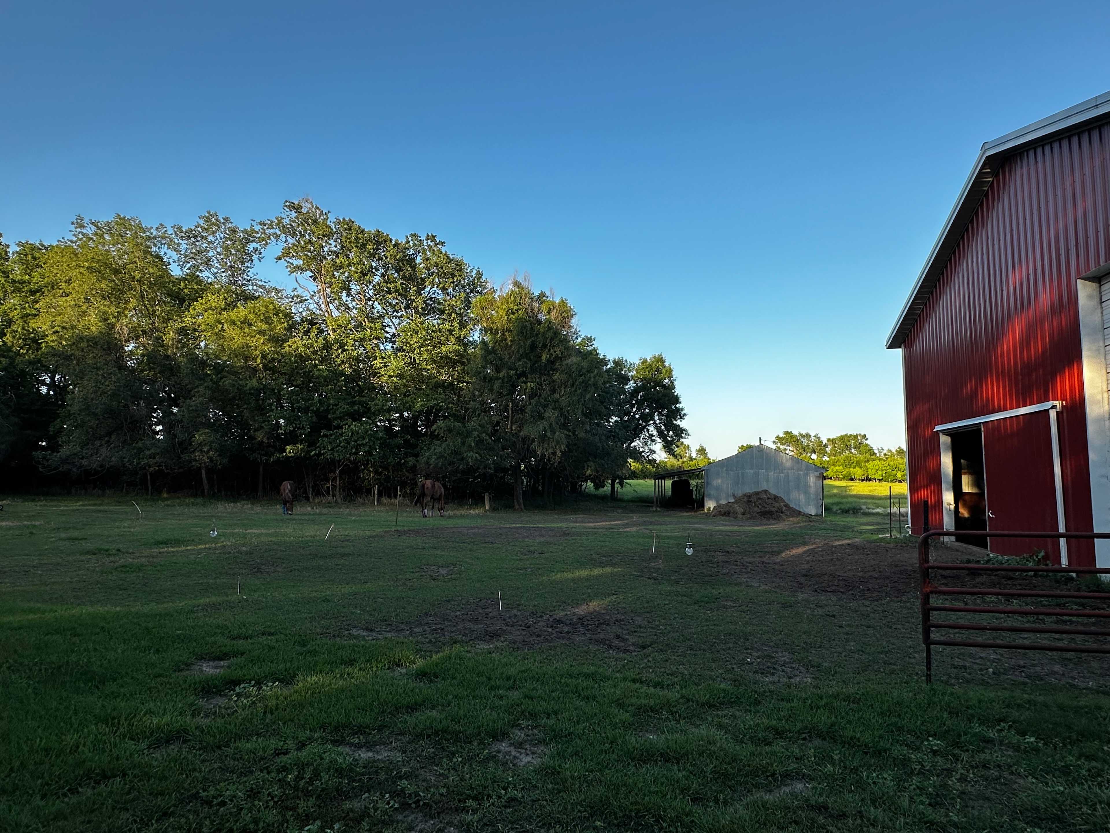 our view from our campsite, cute horses would walk right up to the fence! 