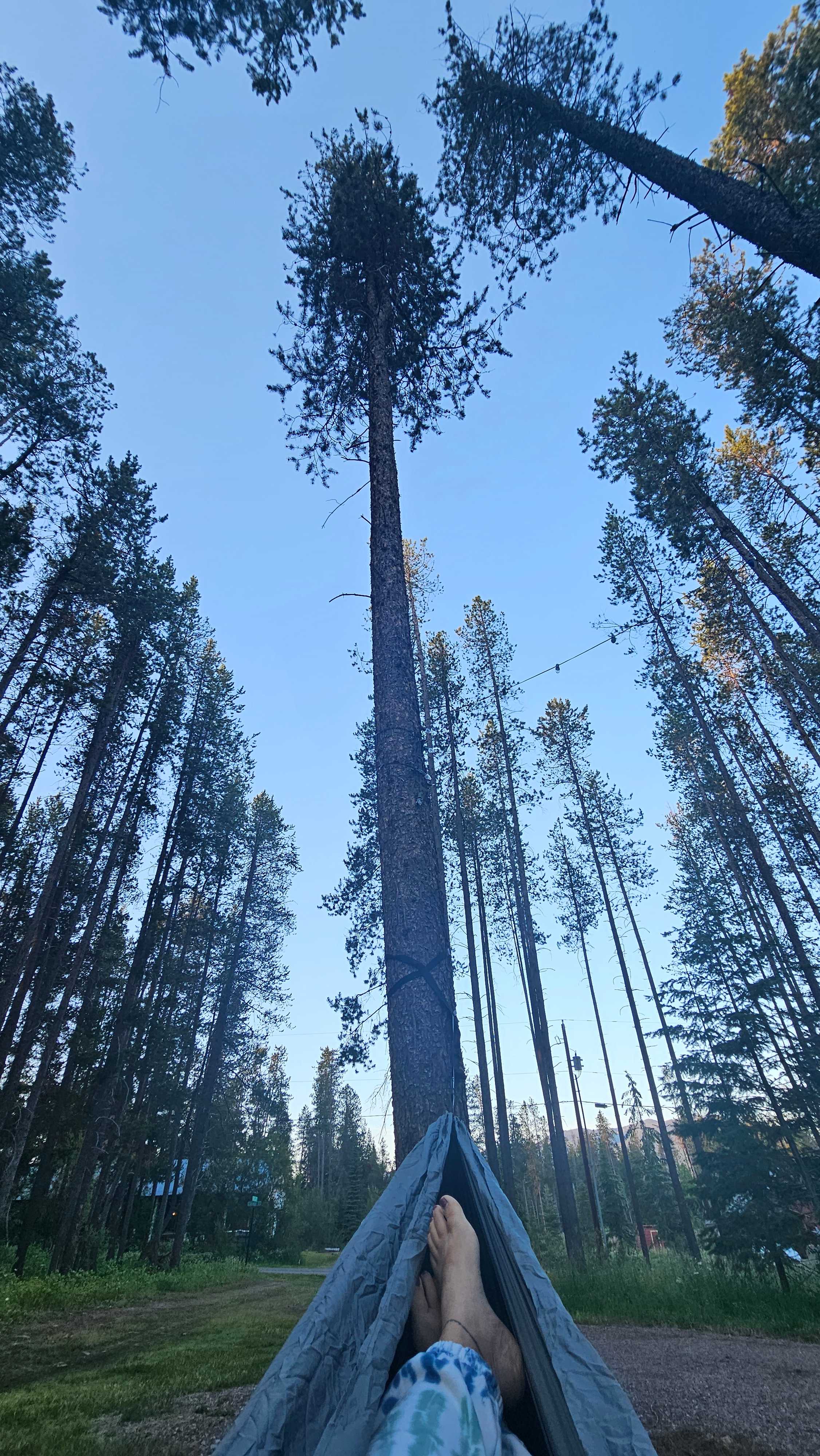 Camp Caribou
