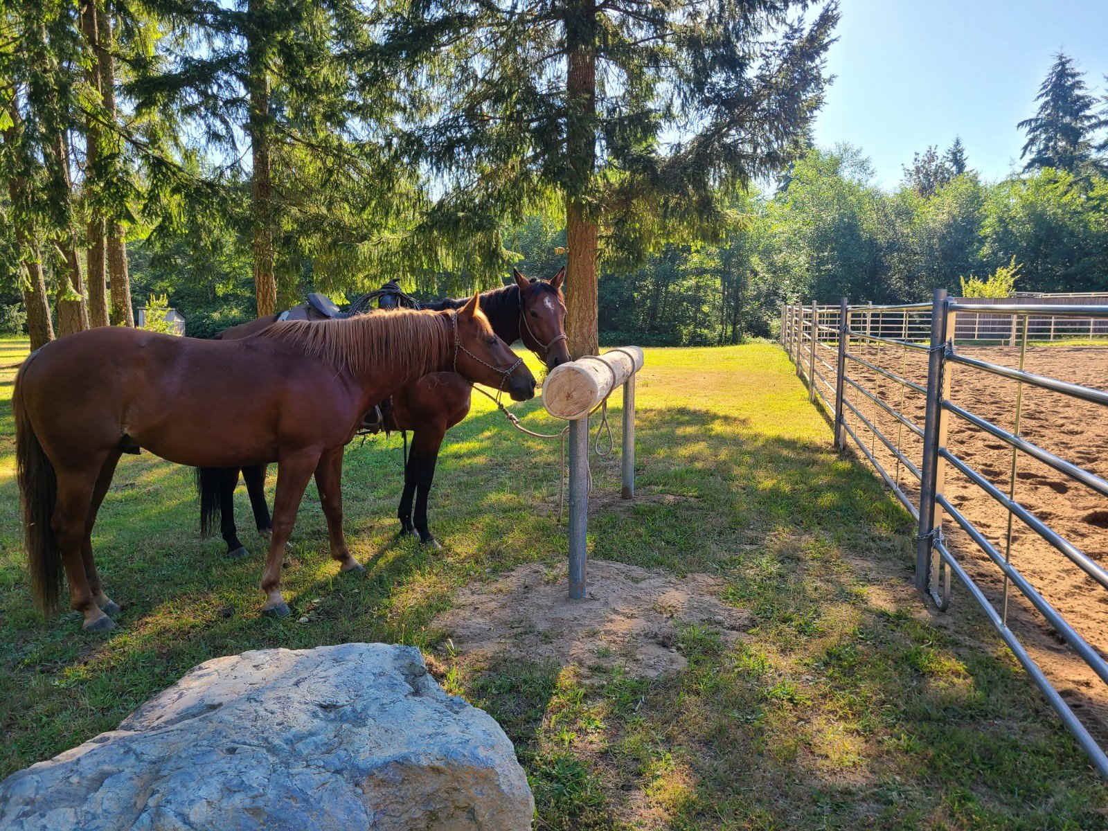 Cowboy Camp @ Lazy K Stables