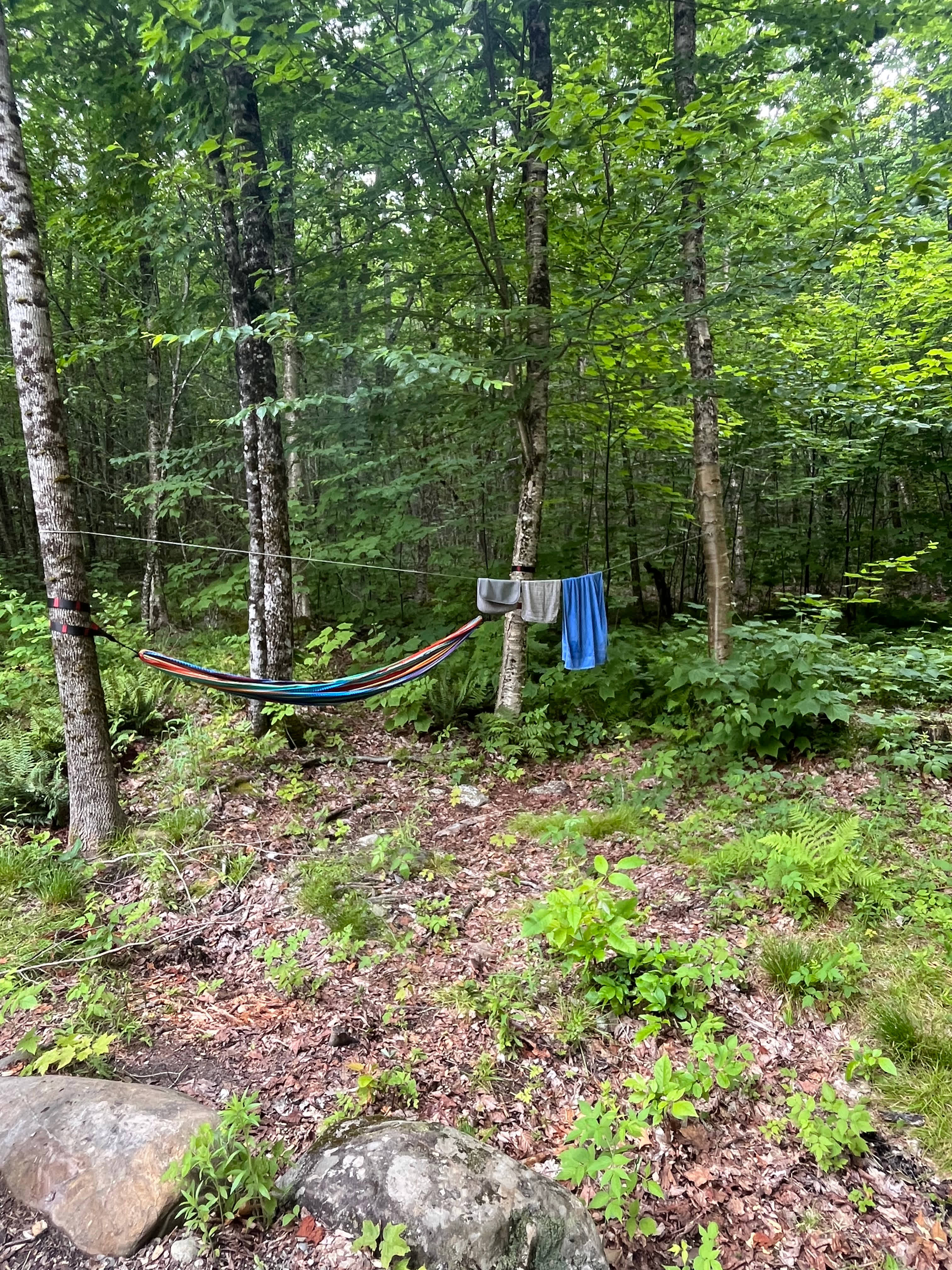 13 Acres/Off Grid/Branch Lake!