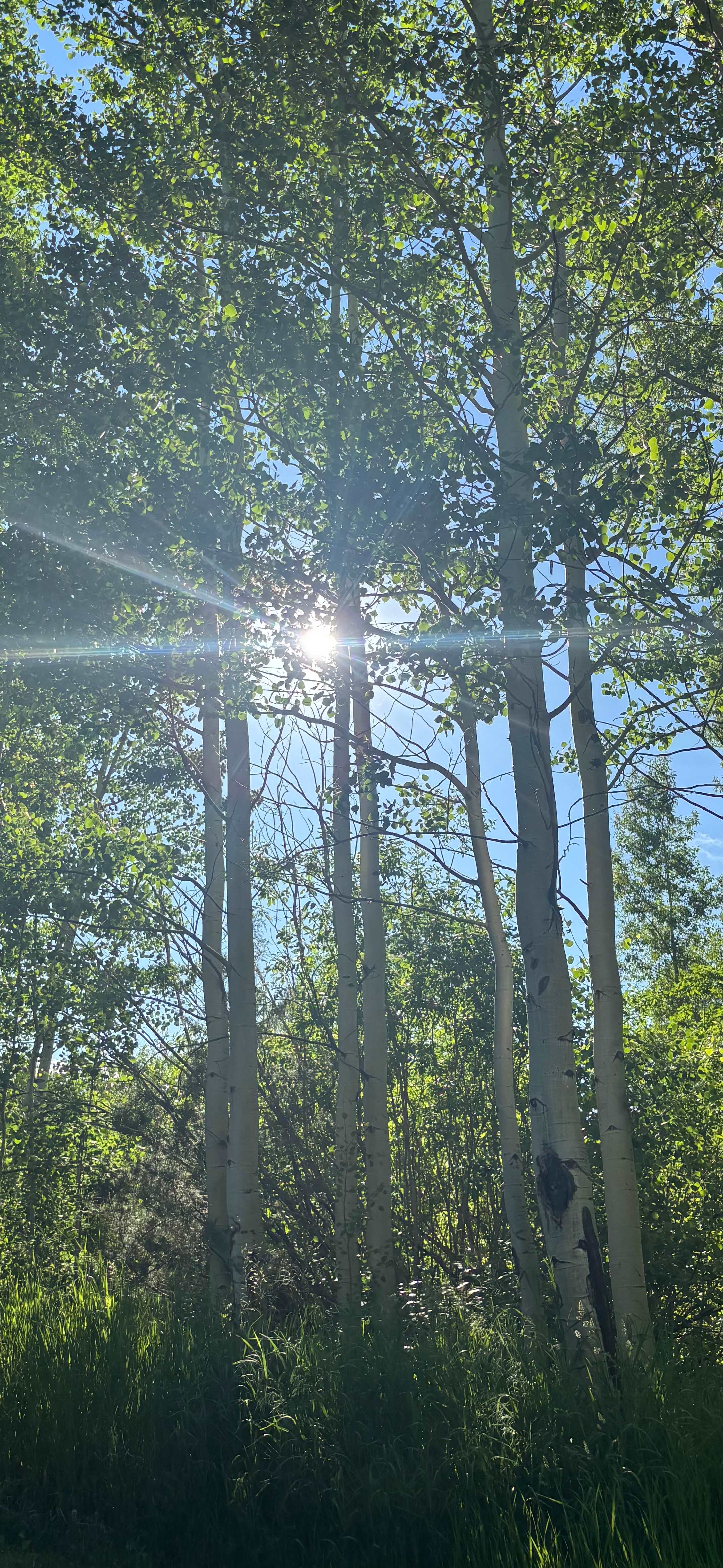 Monarch Spur RV Park and Campground