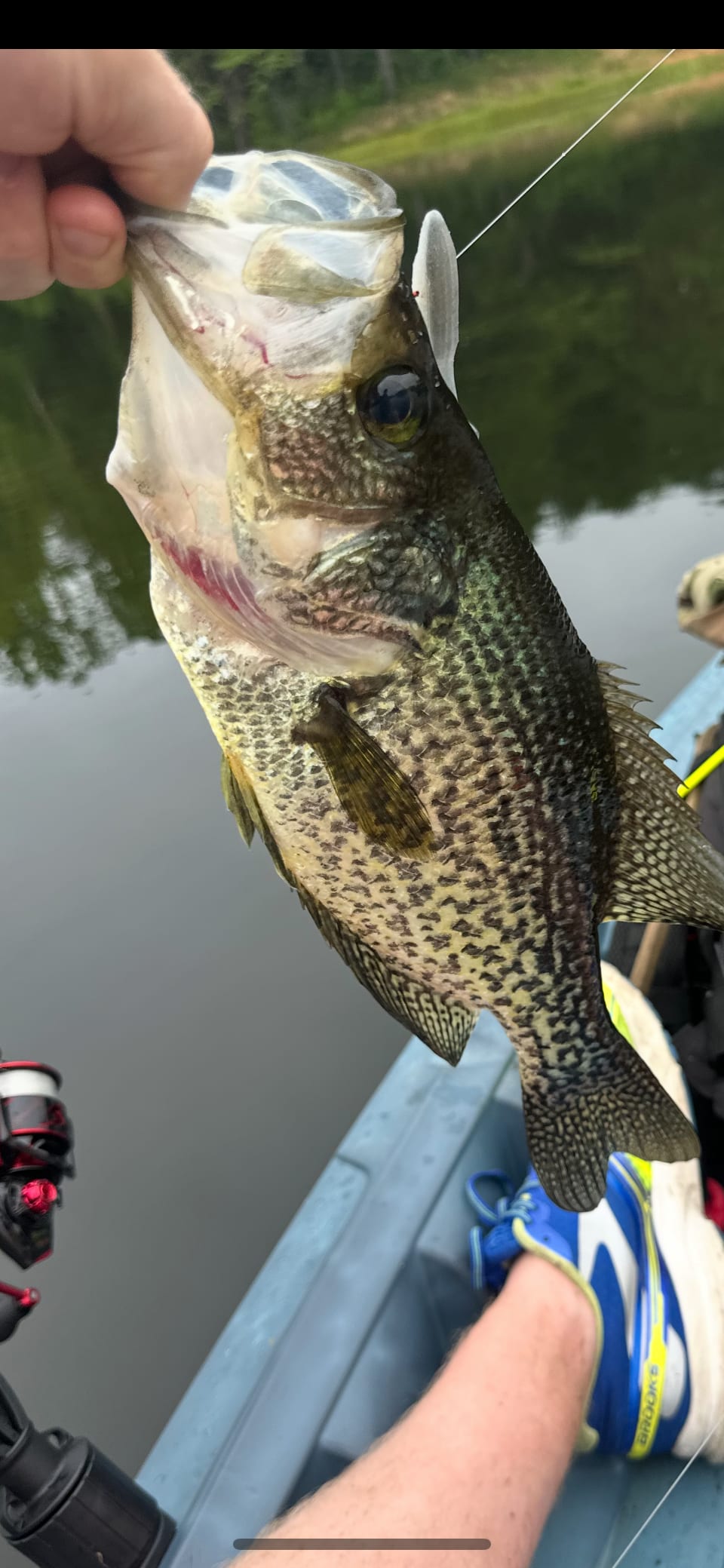 Nice catch and release