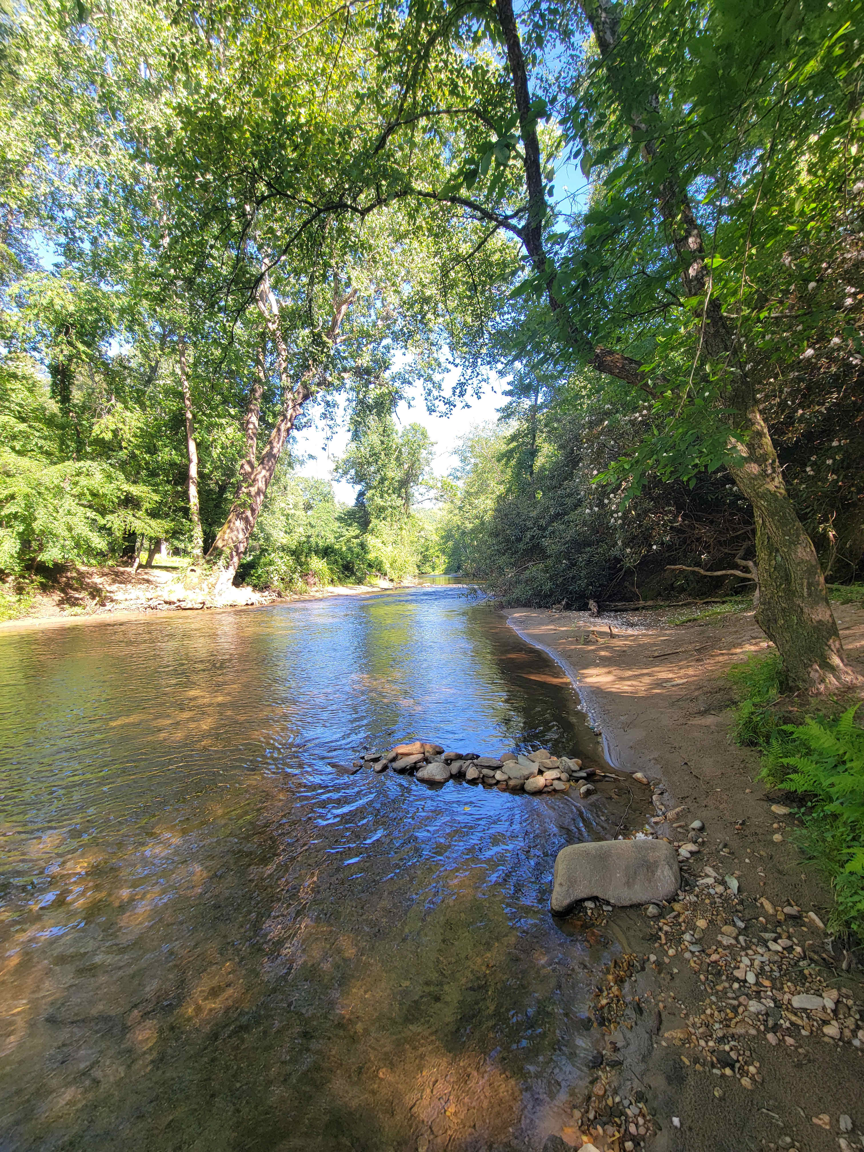 The Confluence