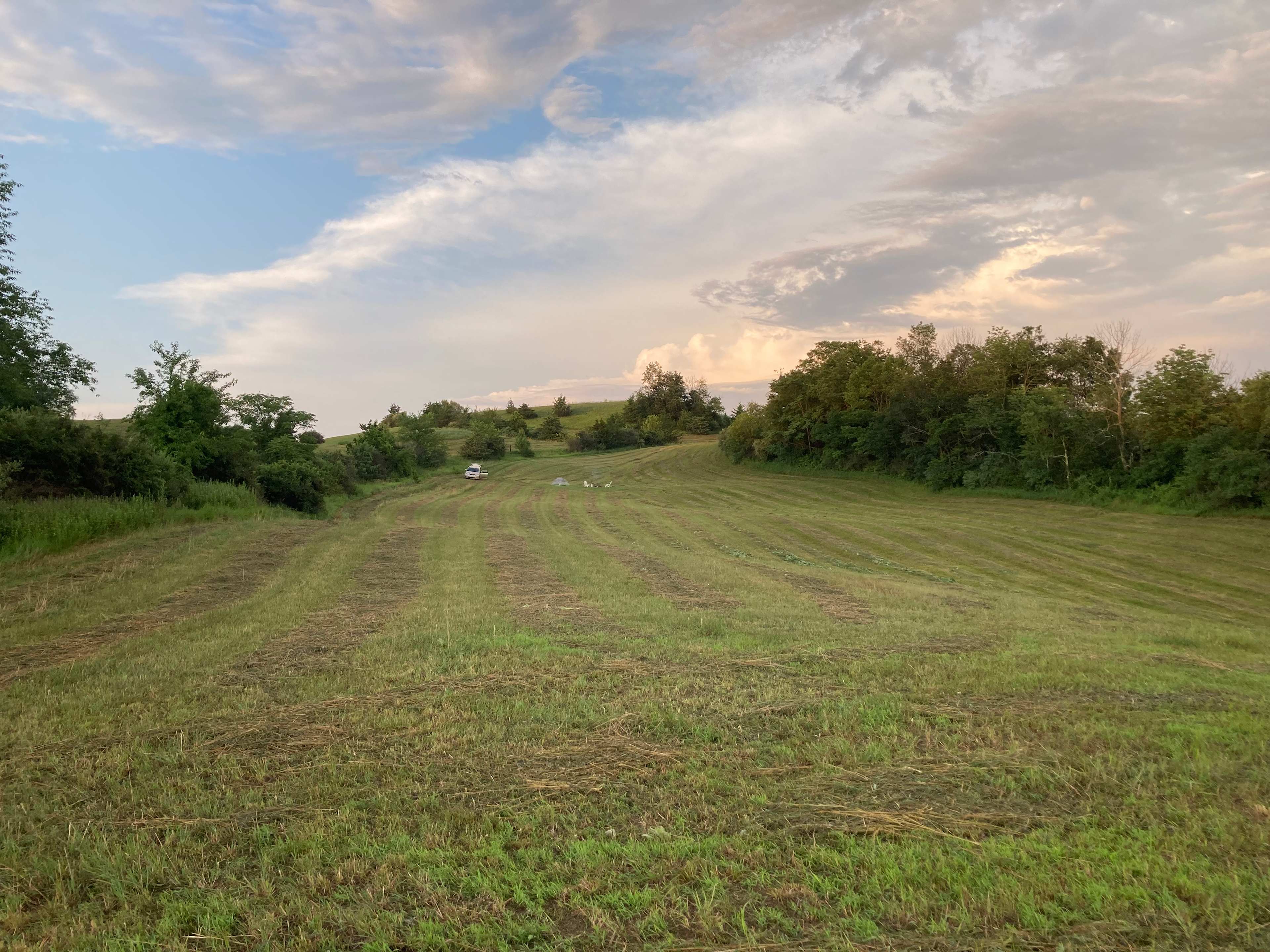 Ash to Oak Farm
