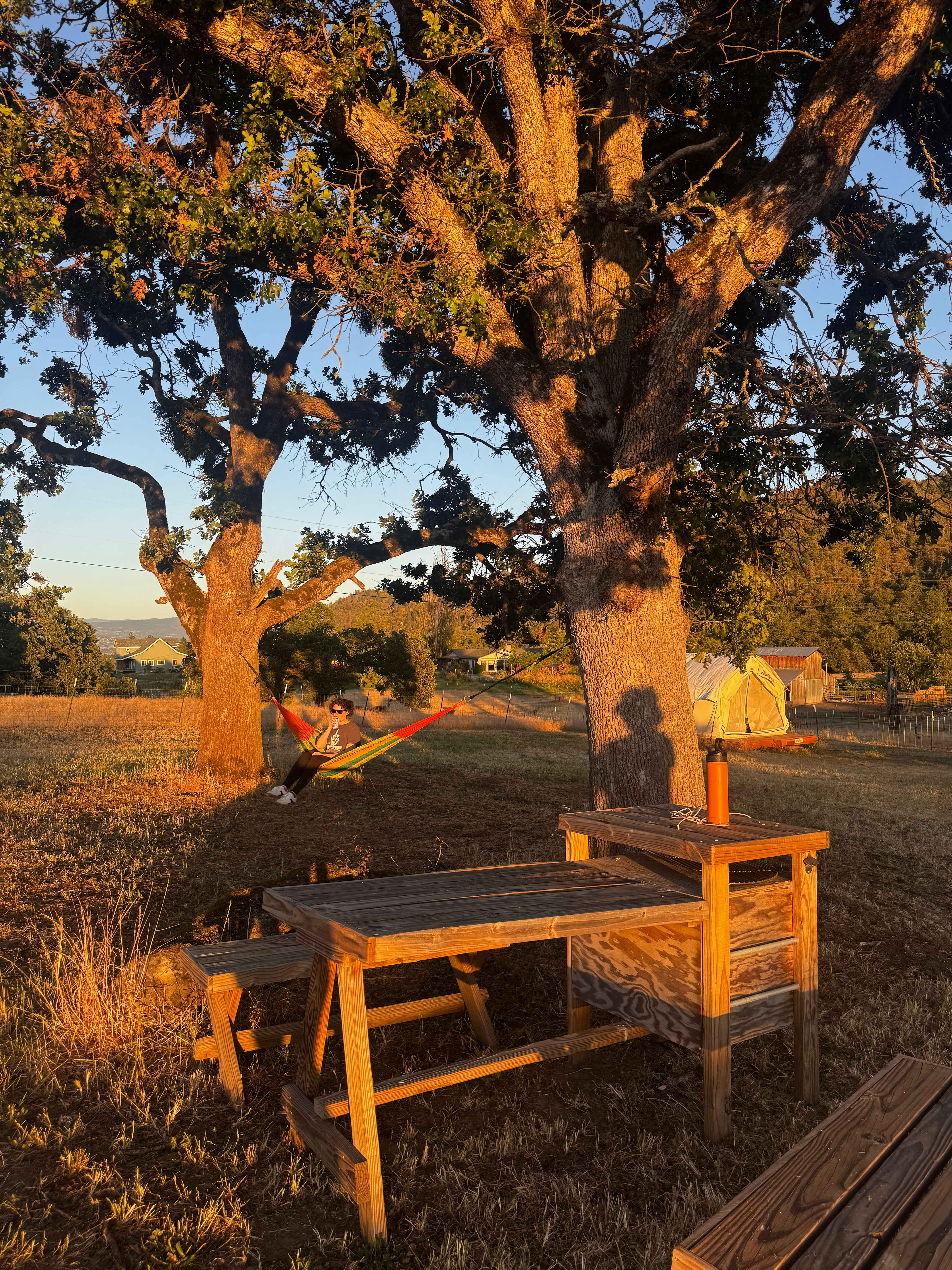 Hammock and table