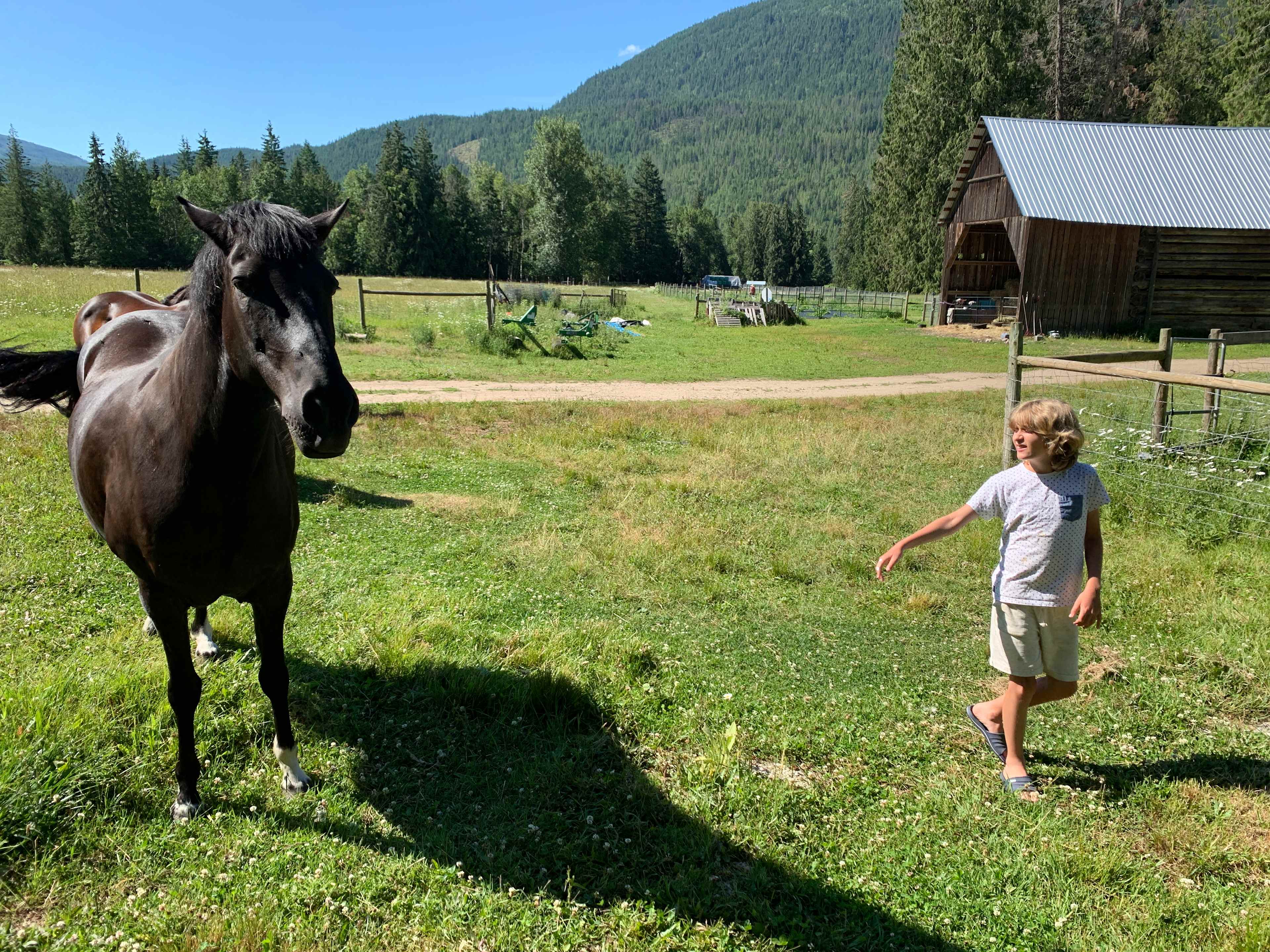 Olich Creek Farm