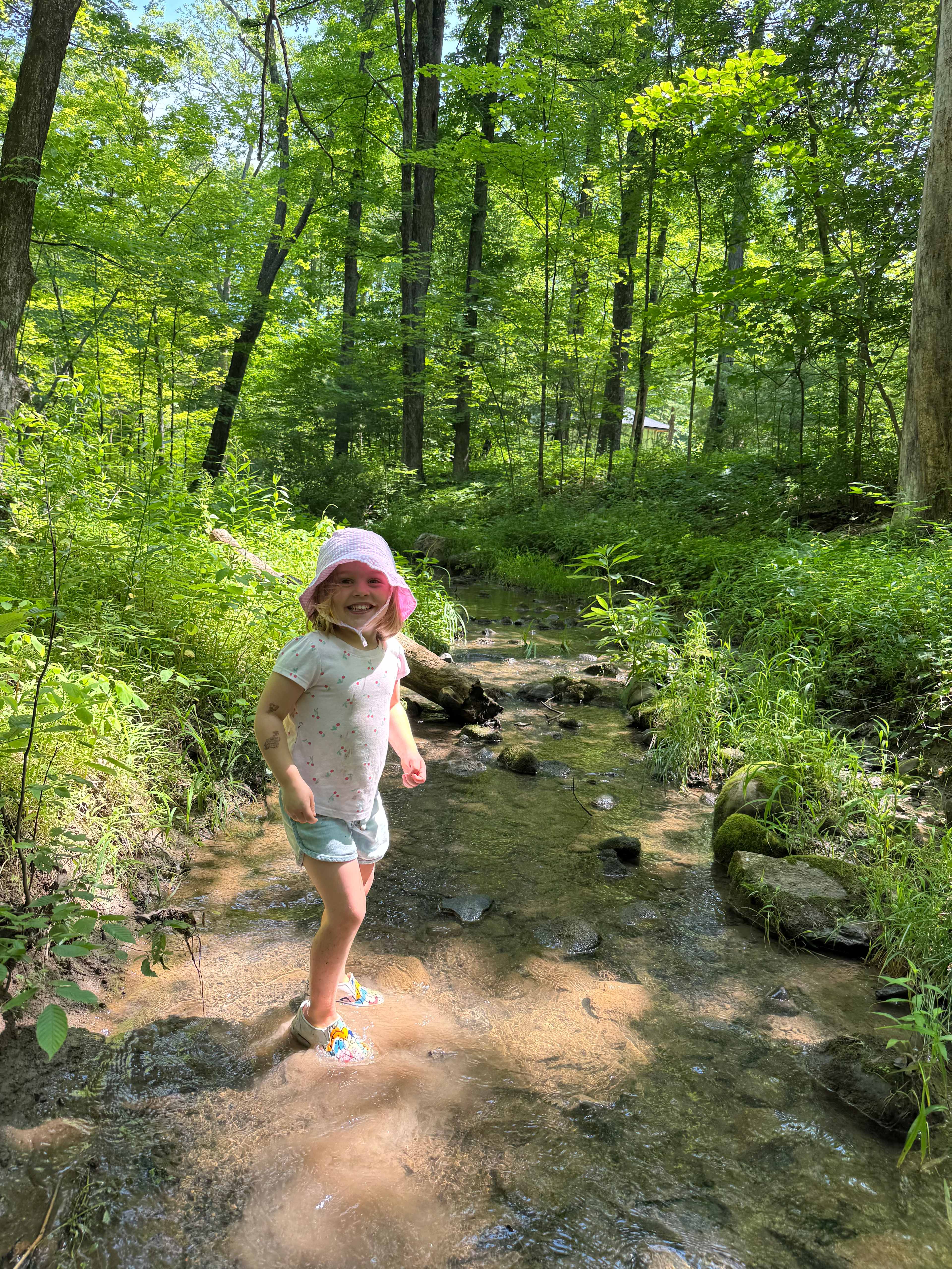 Red Fox Meadow Campsite