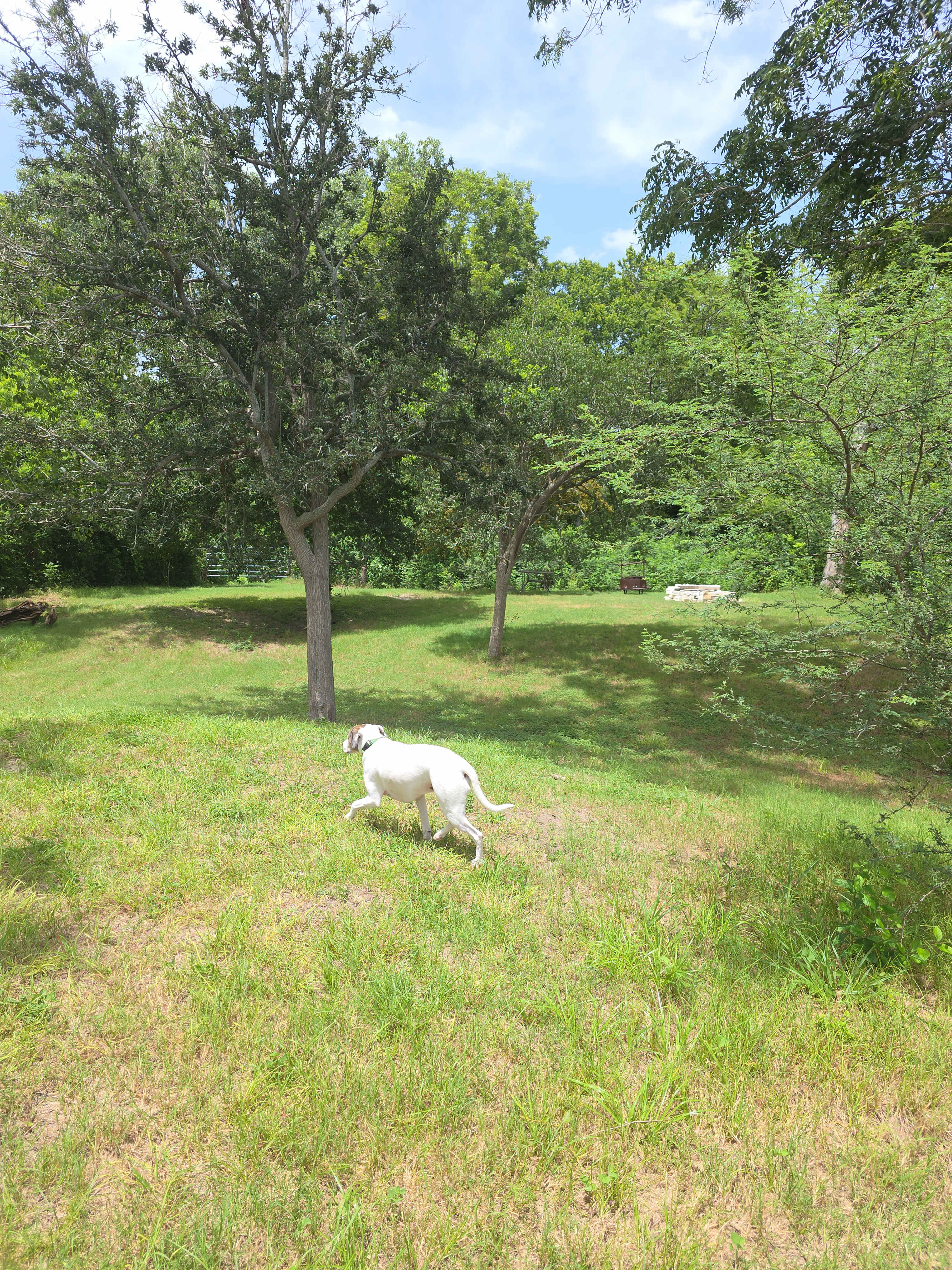 River Creek Campgrounds