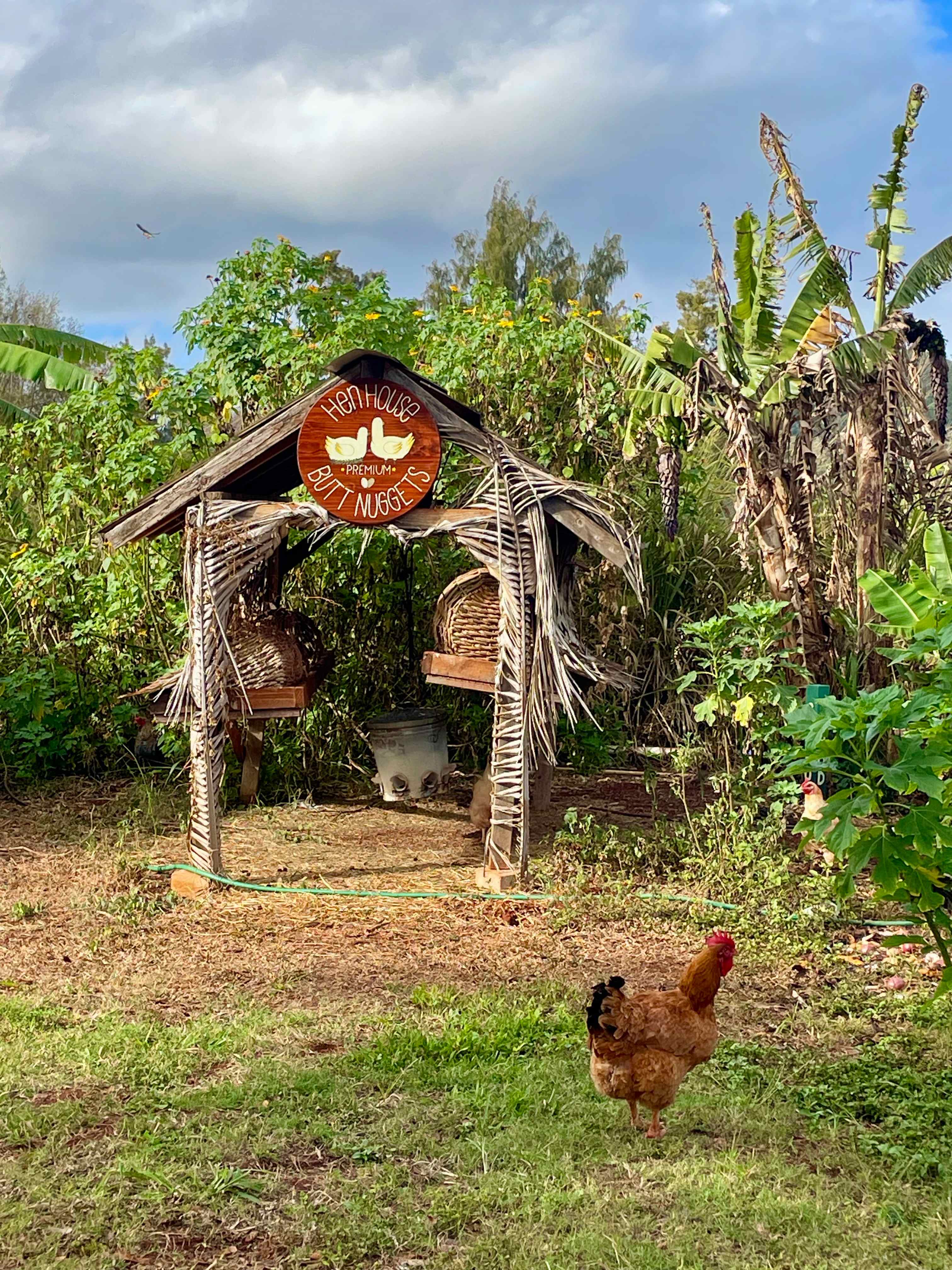 Living Circle Farms Hawaii