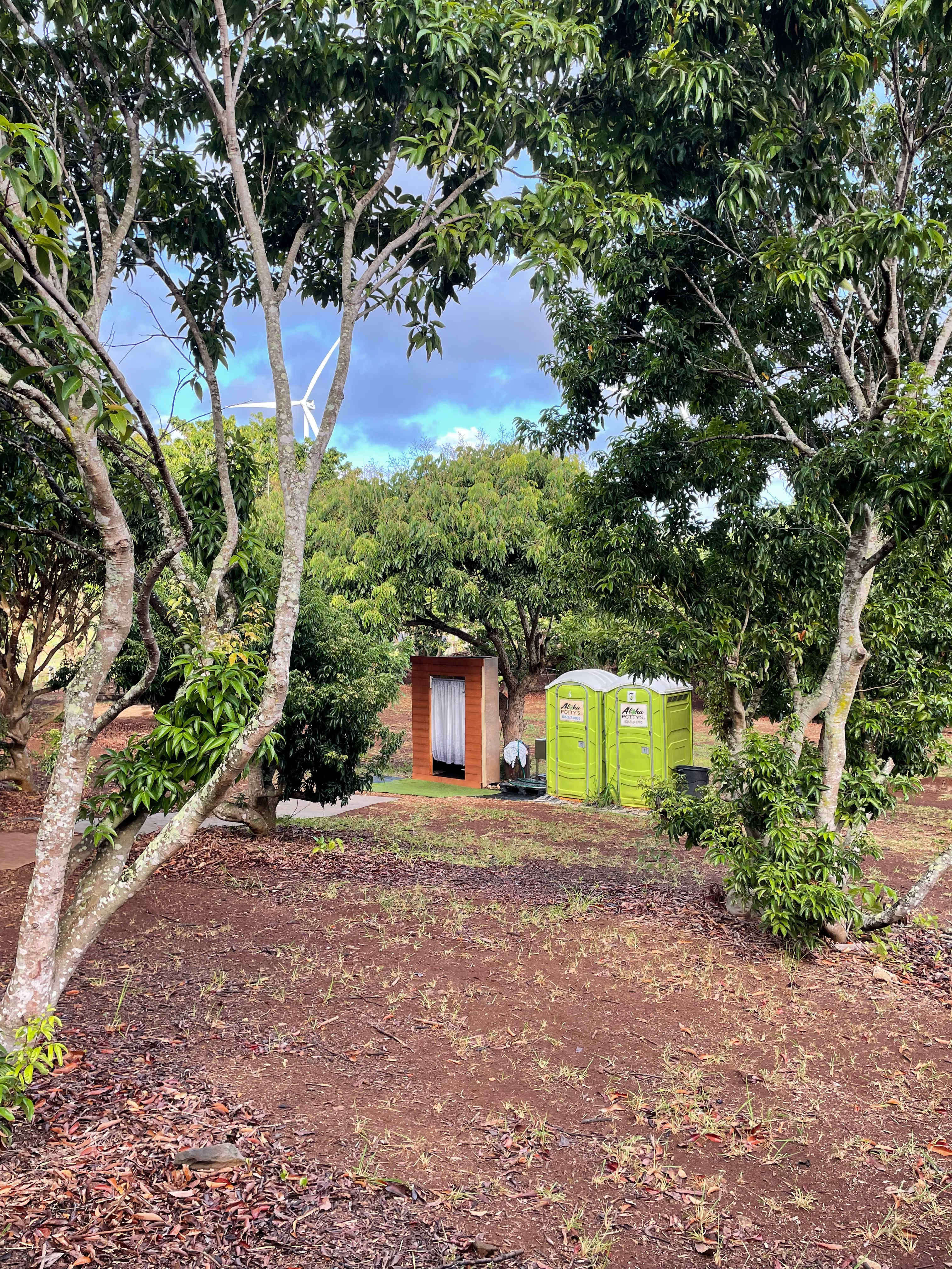 Charming Kahuku camp