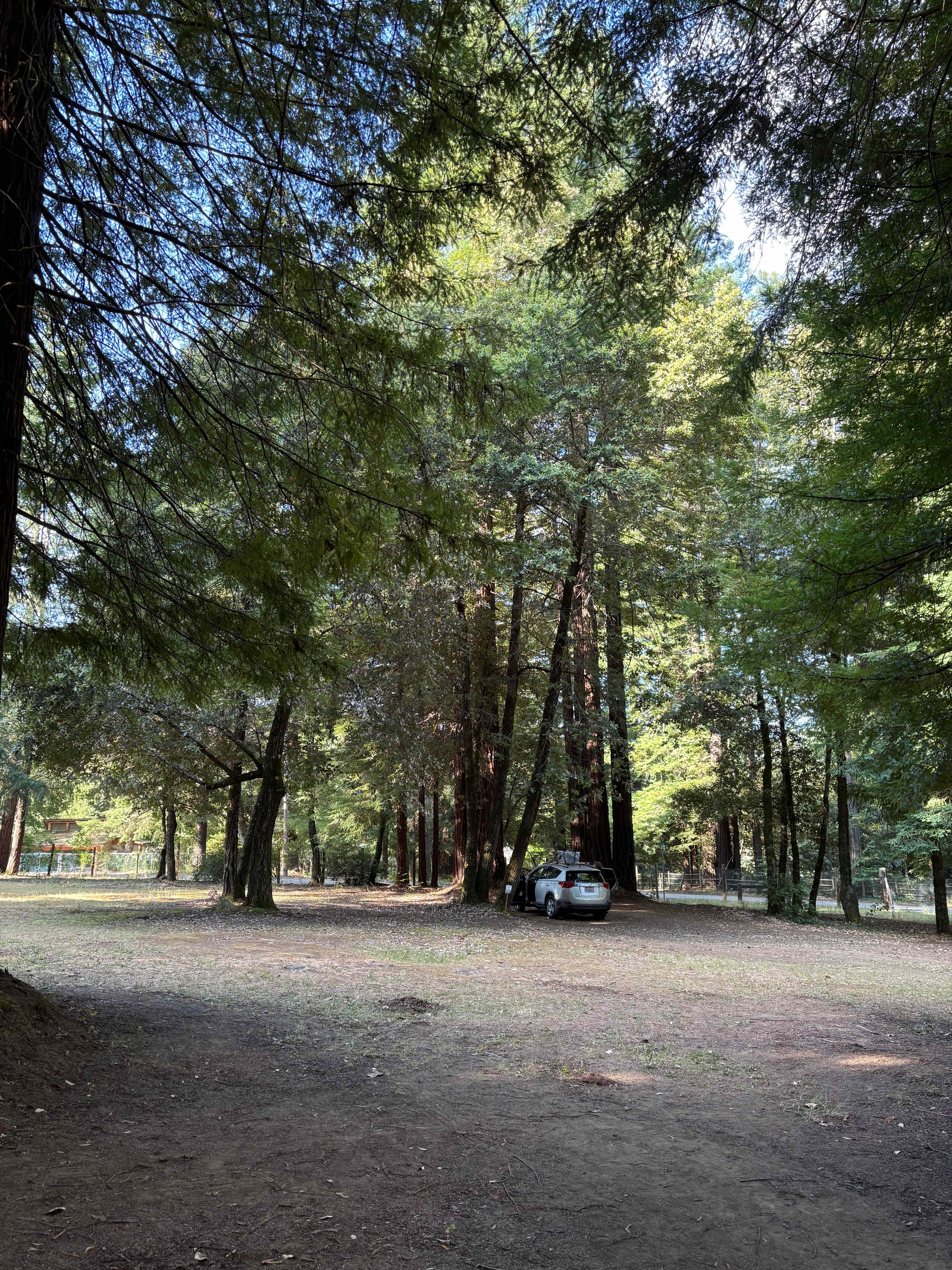 Camp Miranda