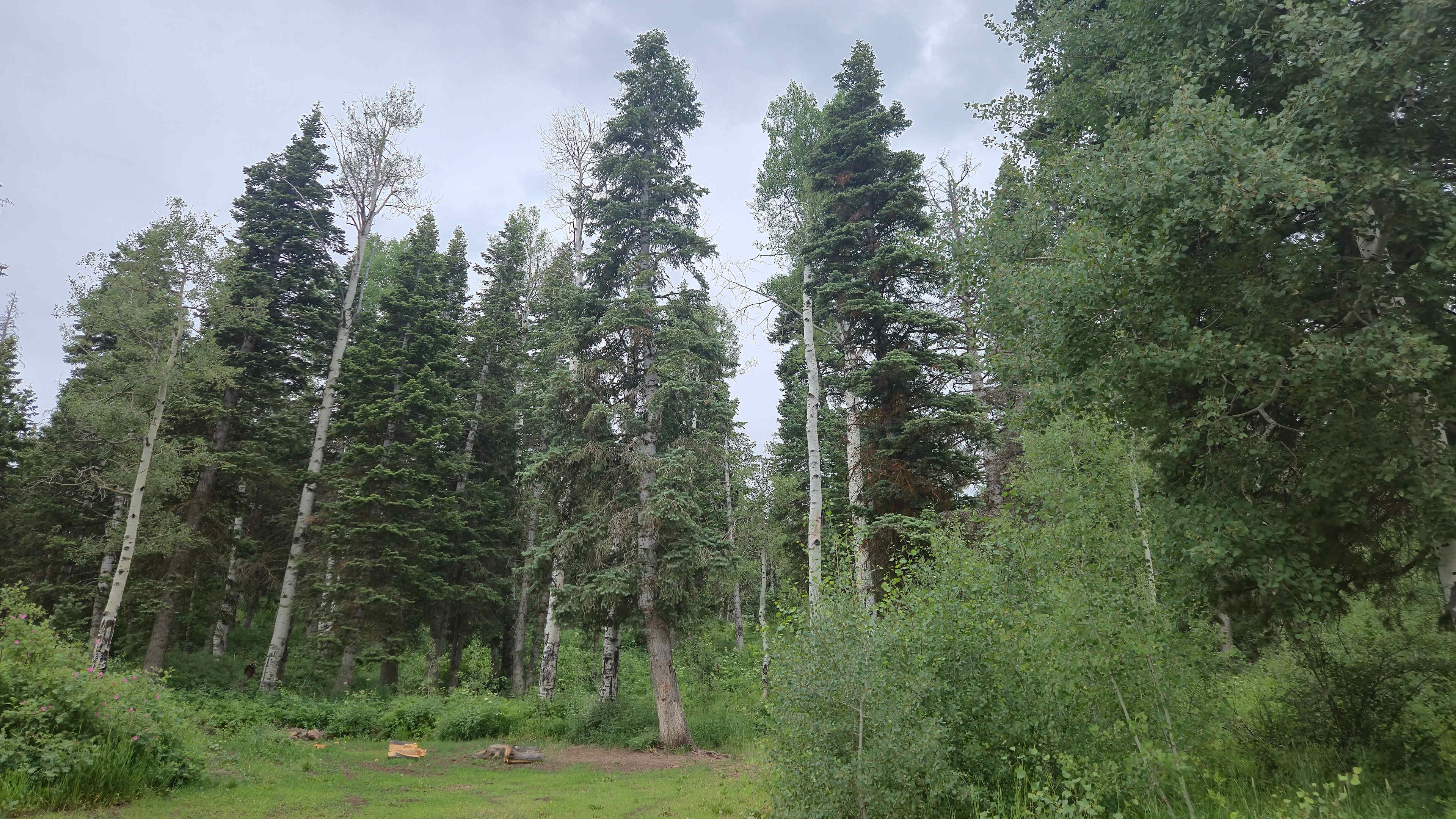 Kolob Campground