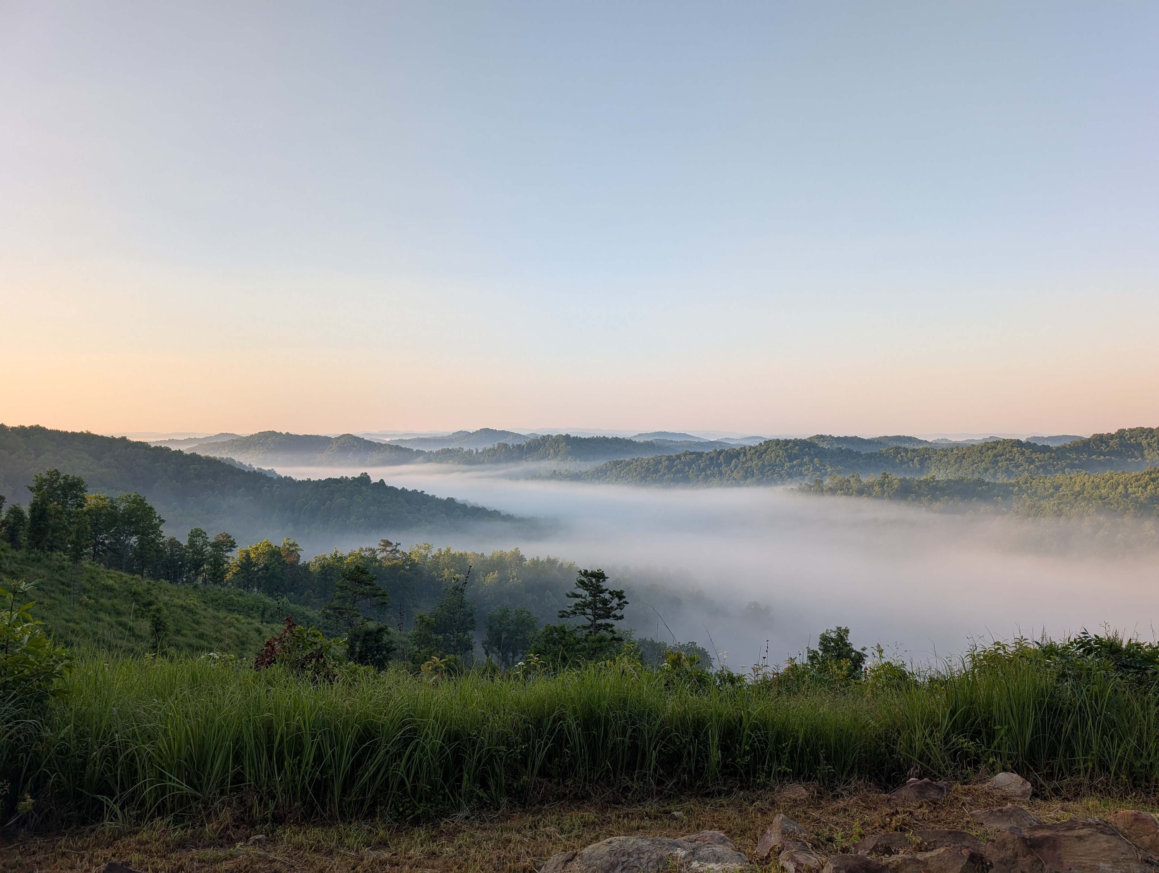 Gray Hills
