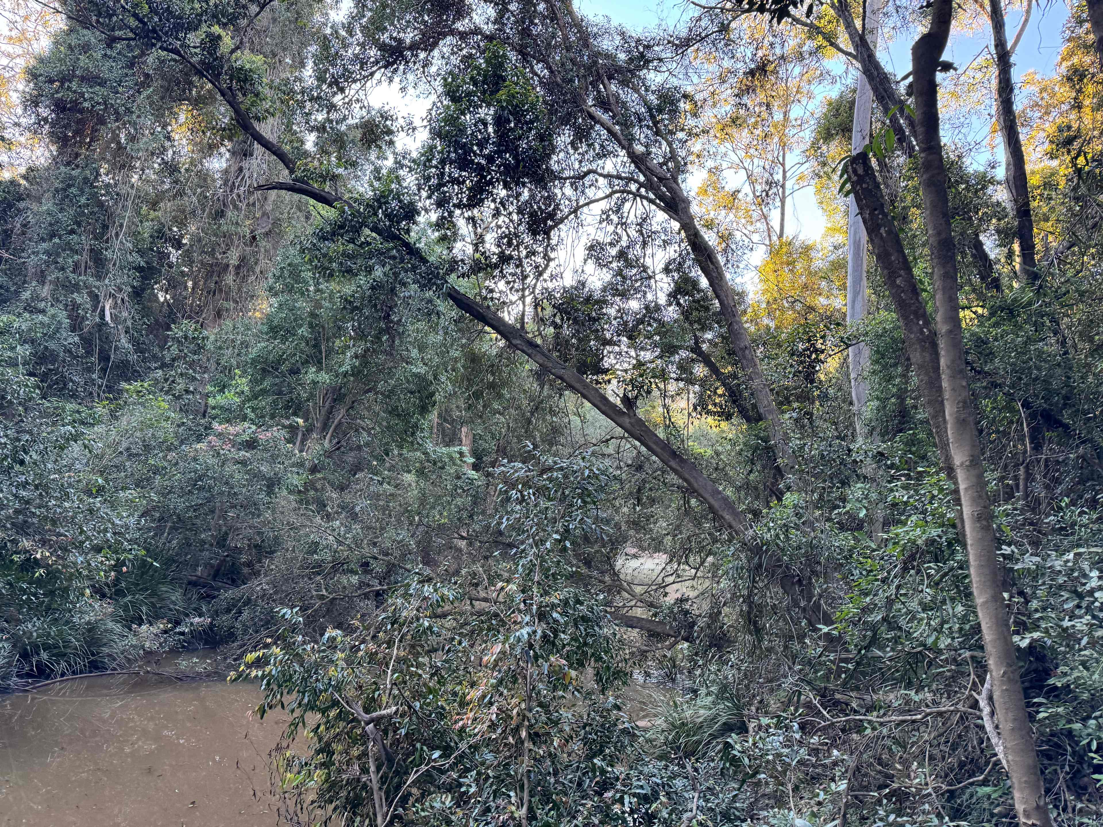 Hidden Creek Farm Qld