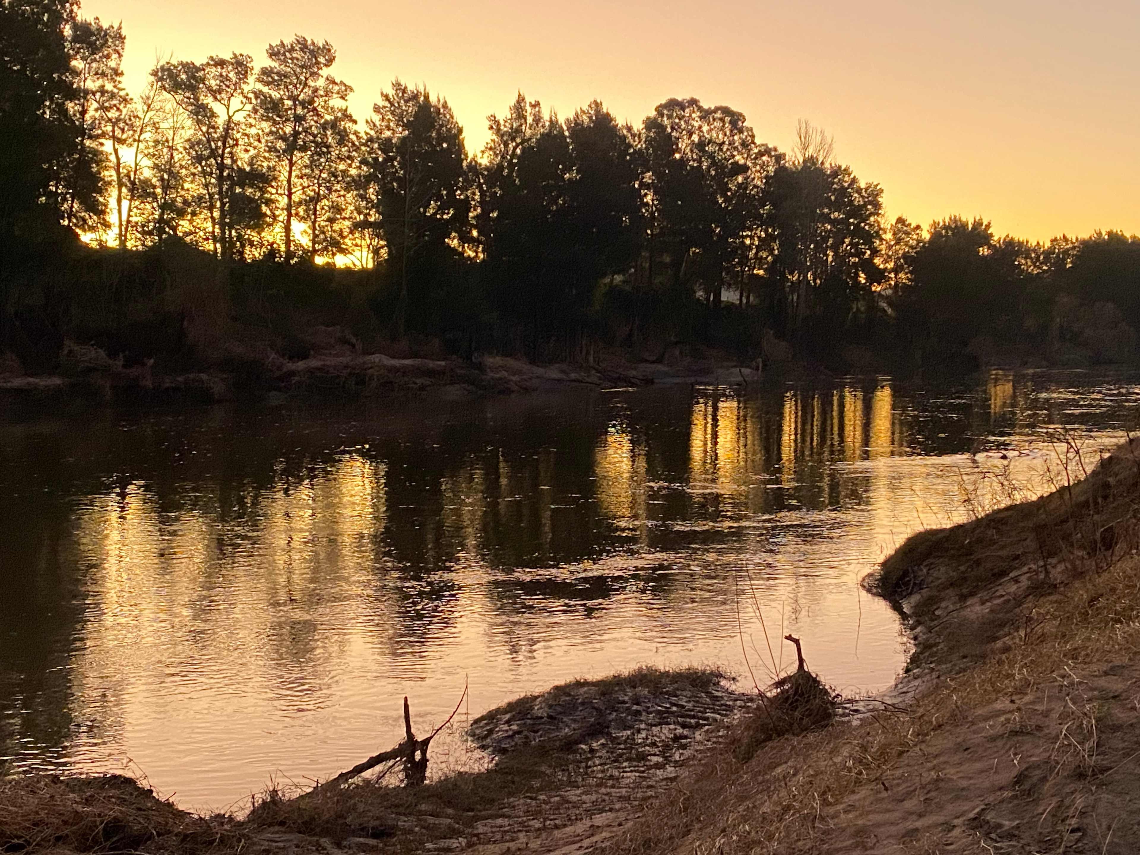 Rosebrook River Camp