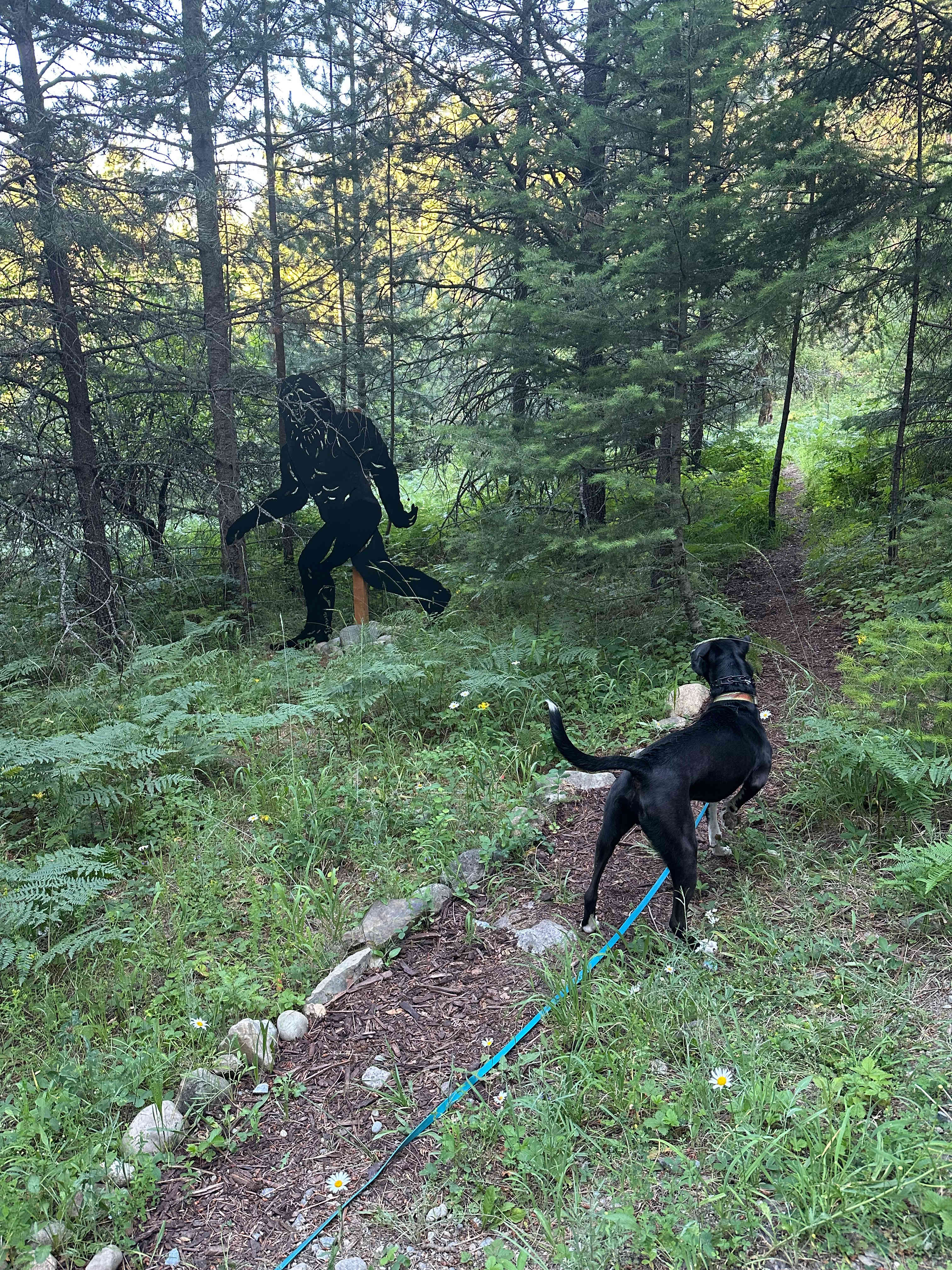 Suspicious characters meet in the woods :)