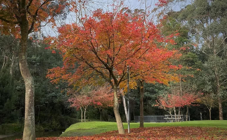 Glen Cromie Reserve Caravan Park