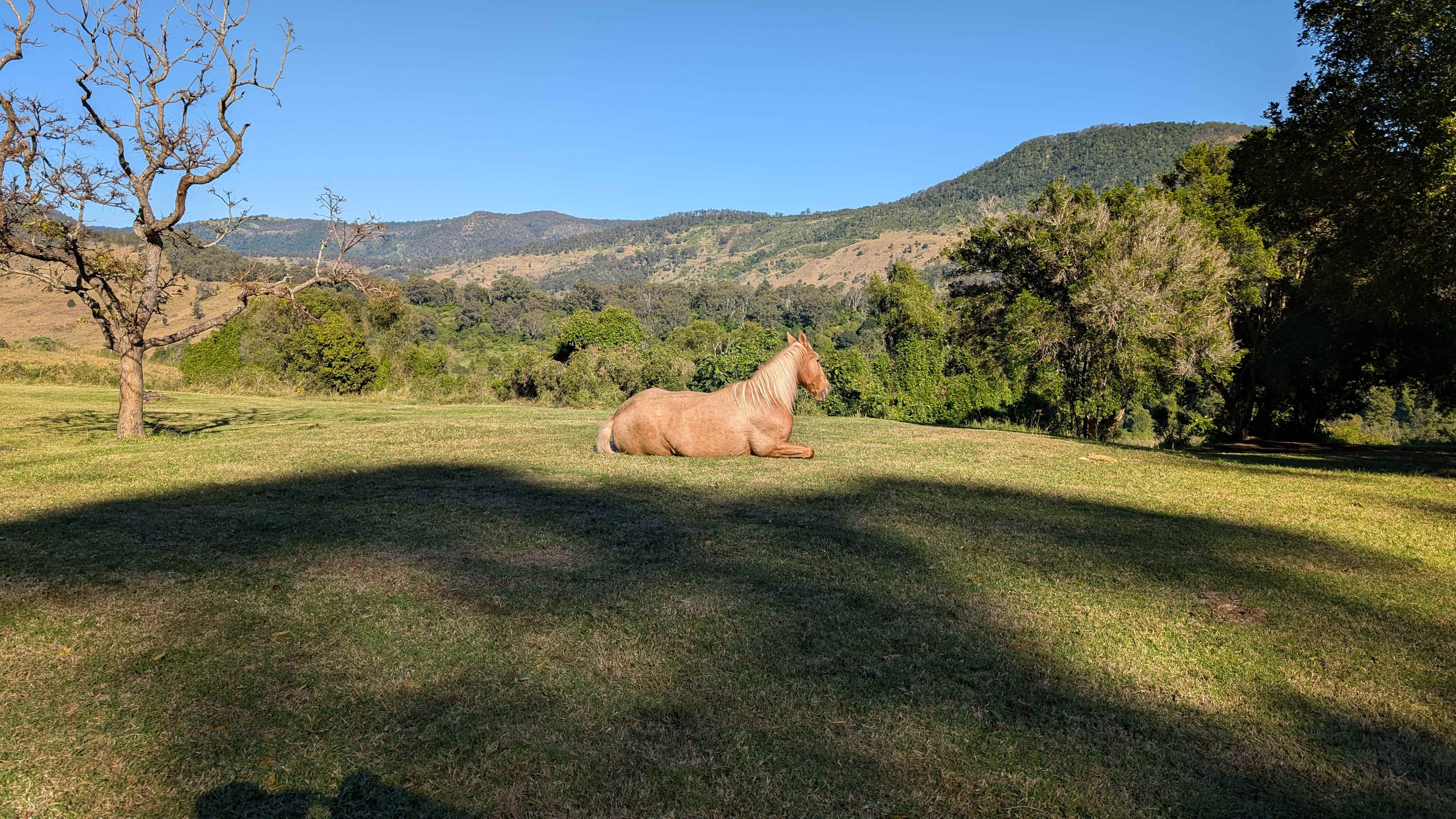 Upper Plateau