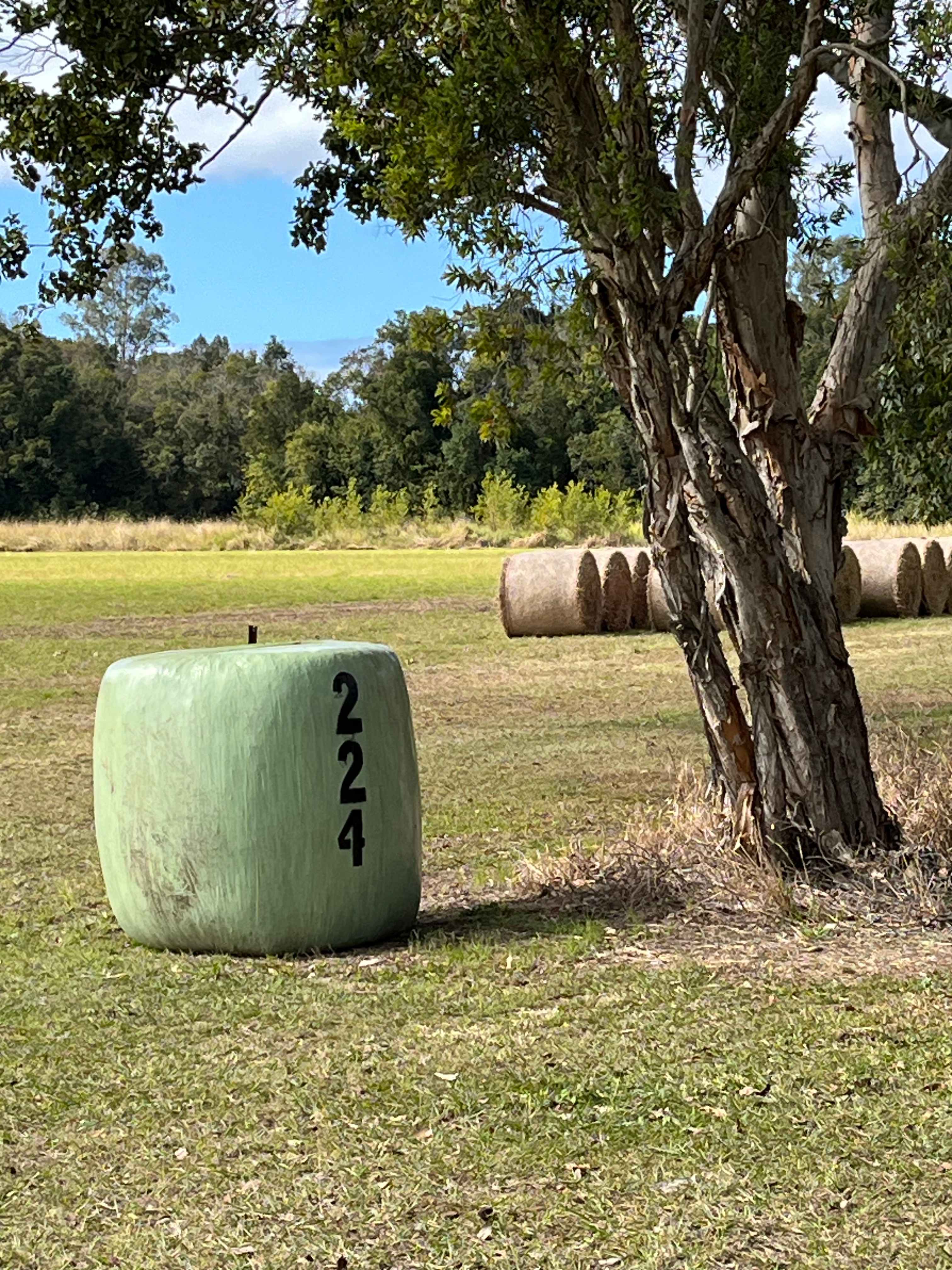 Eumundi RV Stopover
