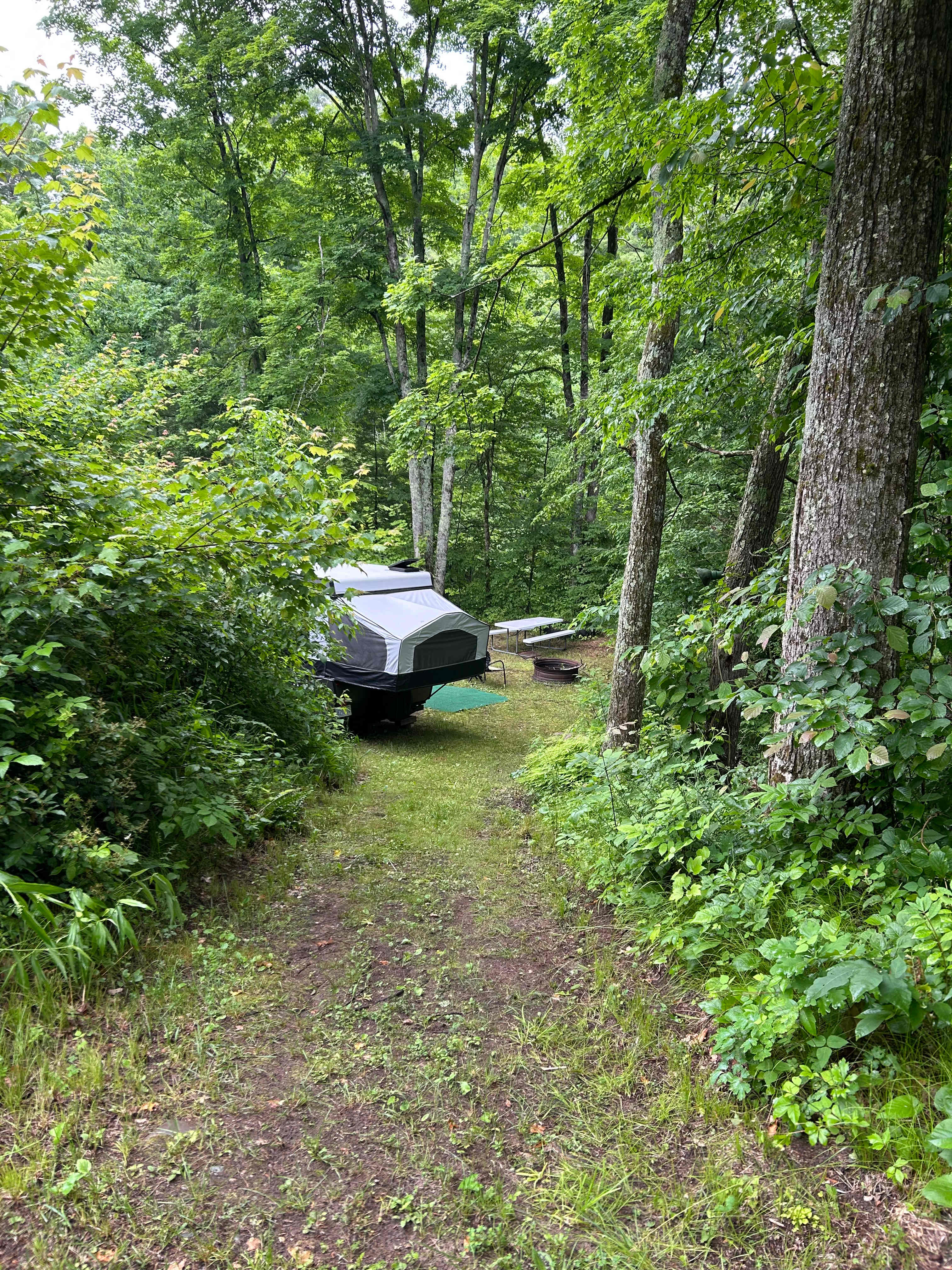 Honey Creek (18+ only)