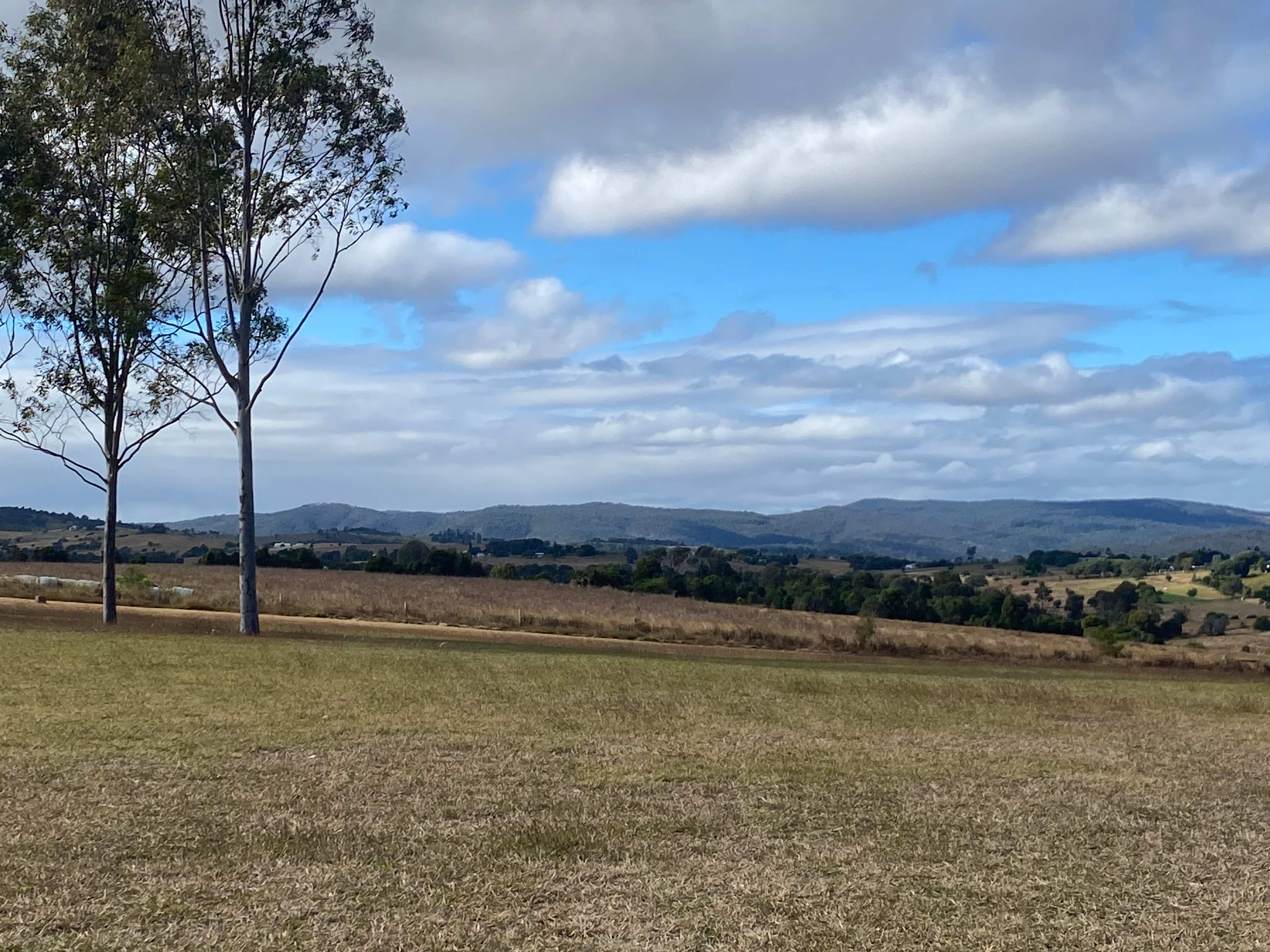 Olive View Estate - Stunning Views