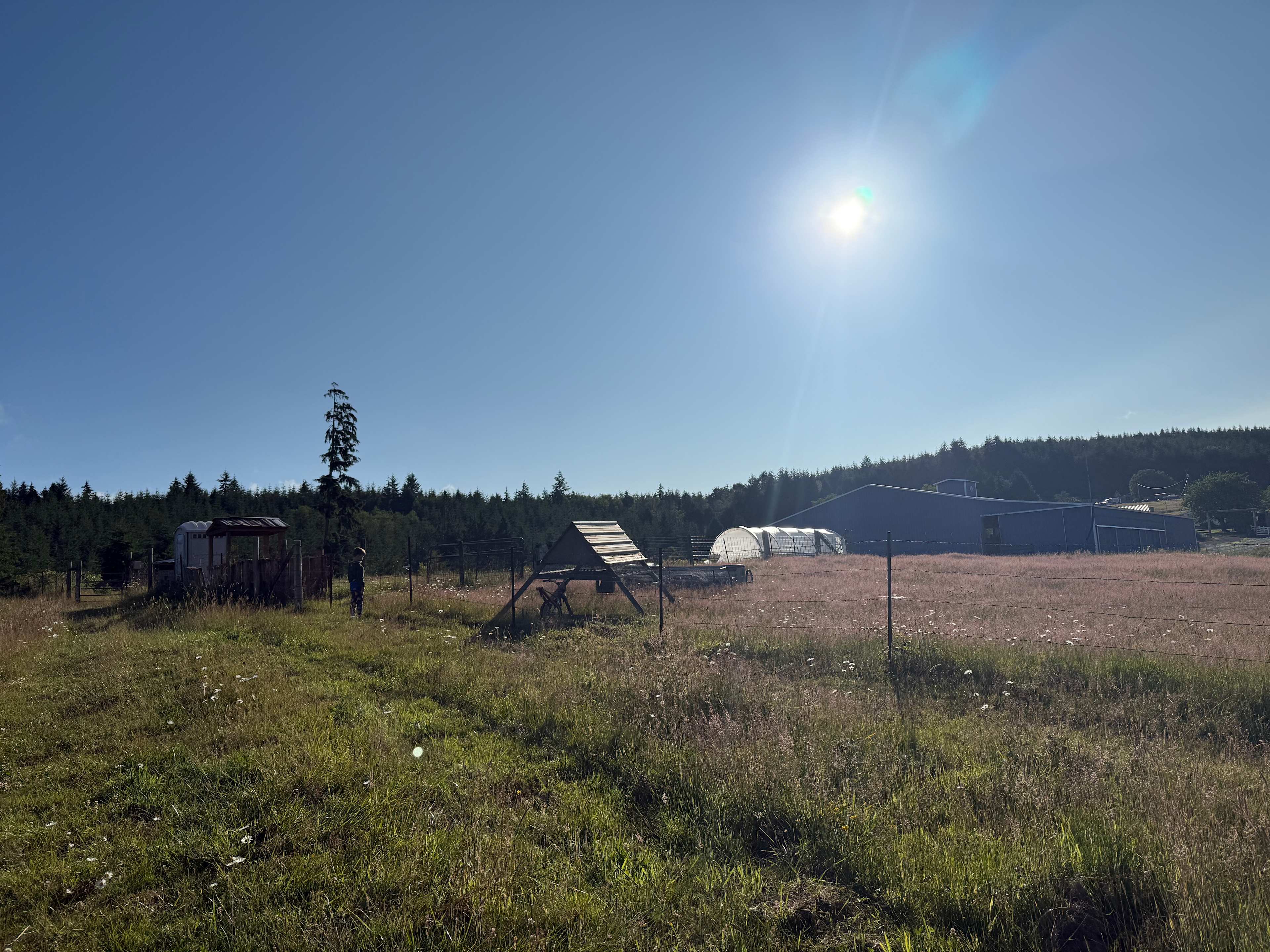 HolisticLifeFarm Clatskanie OR