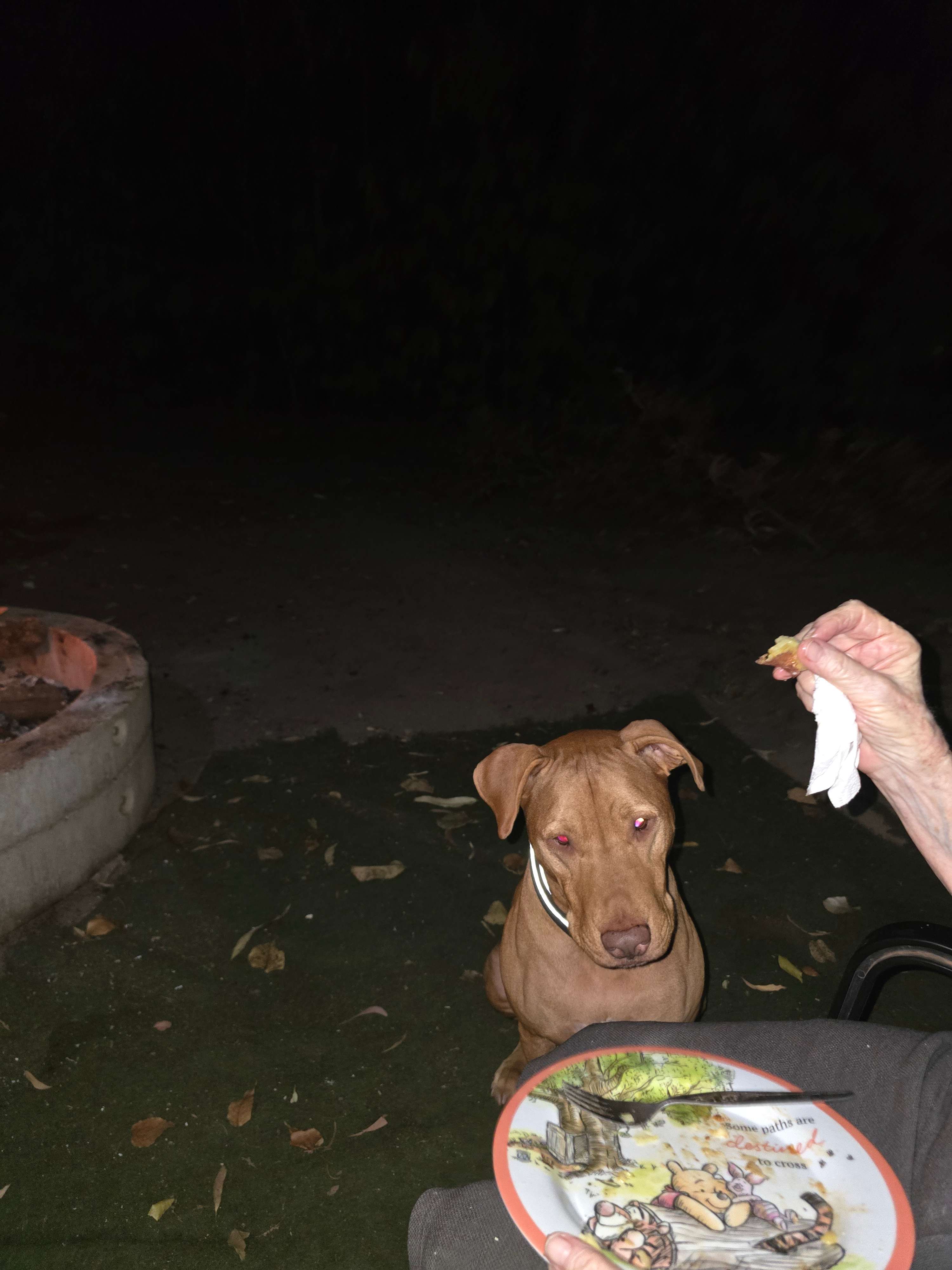 Dinner time