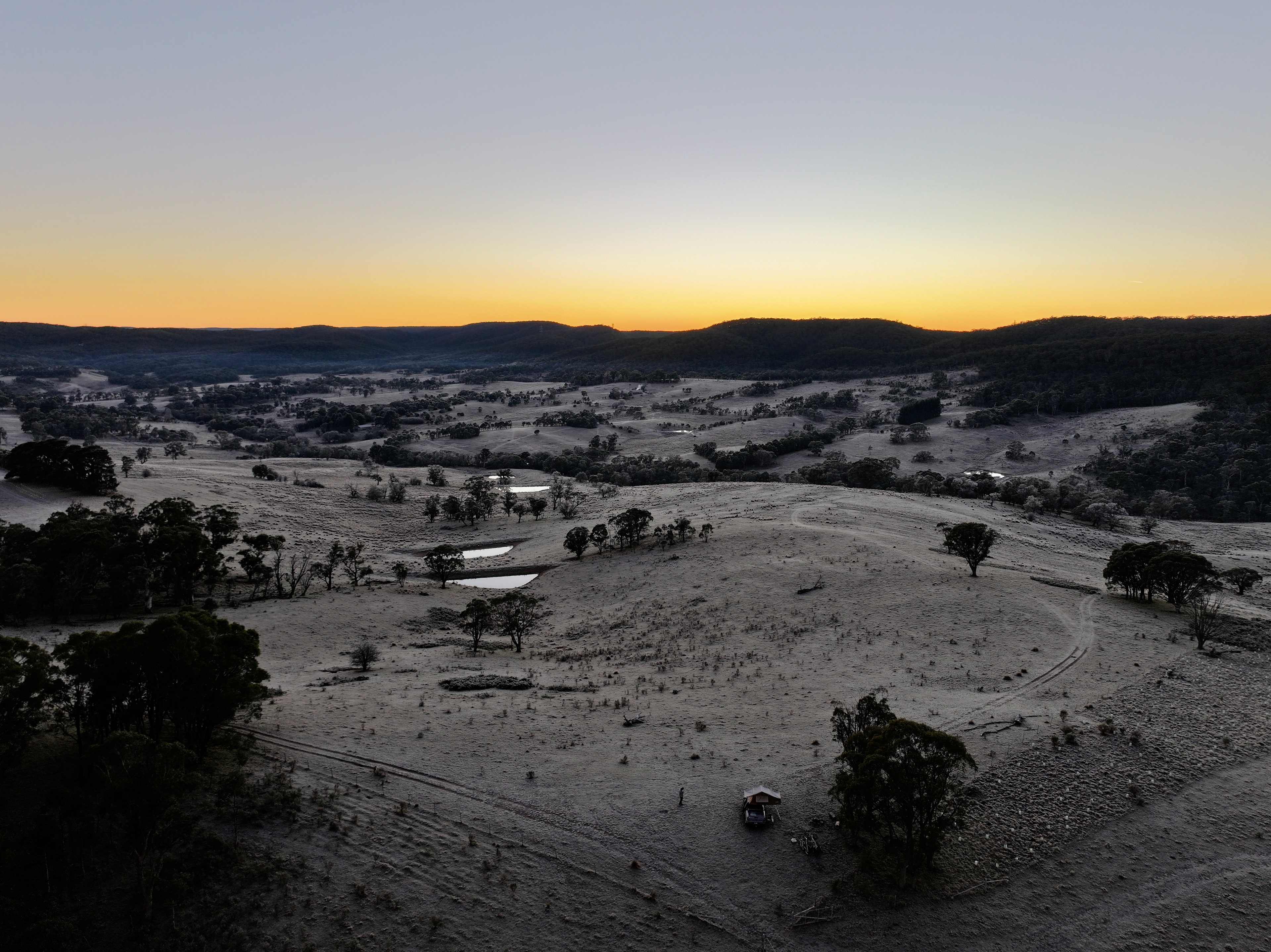 Forestvale Farm