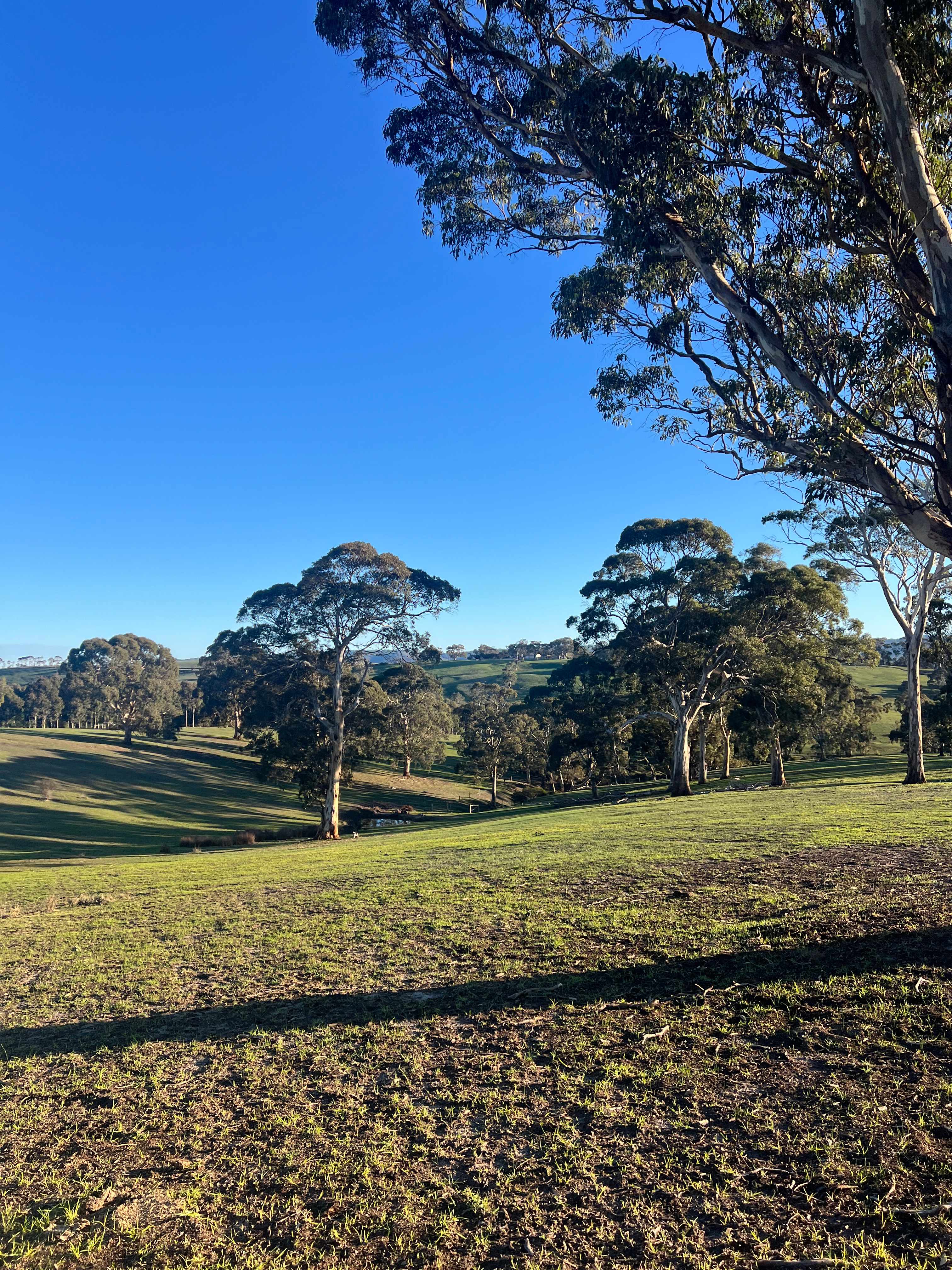 great walks