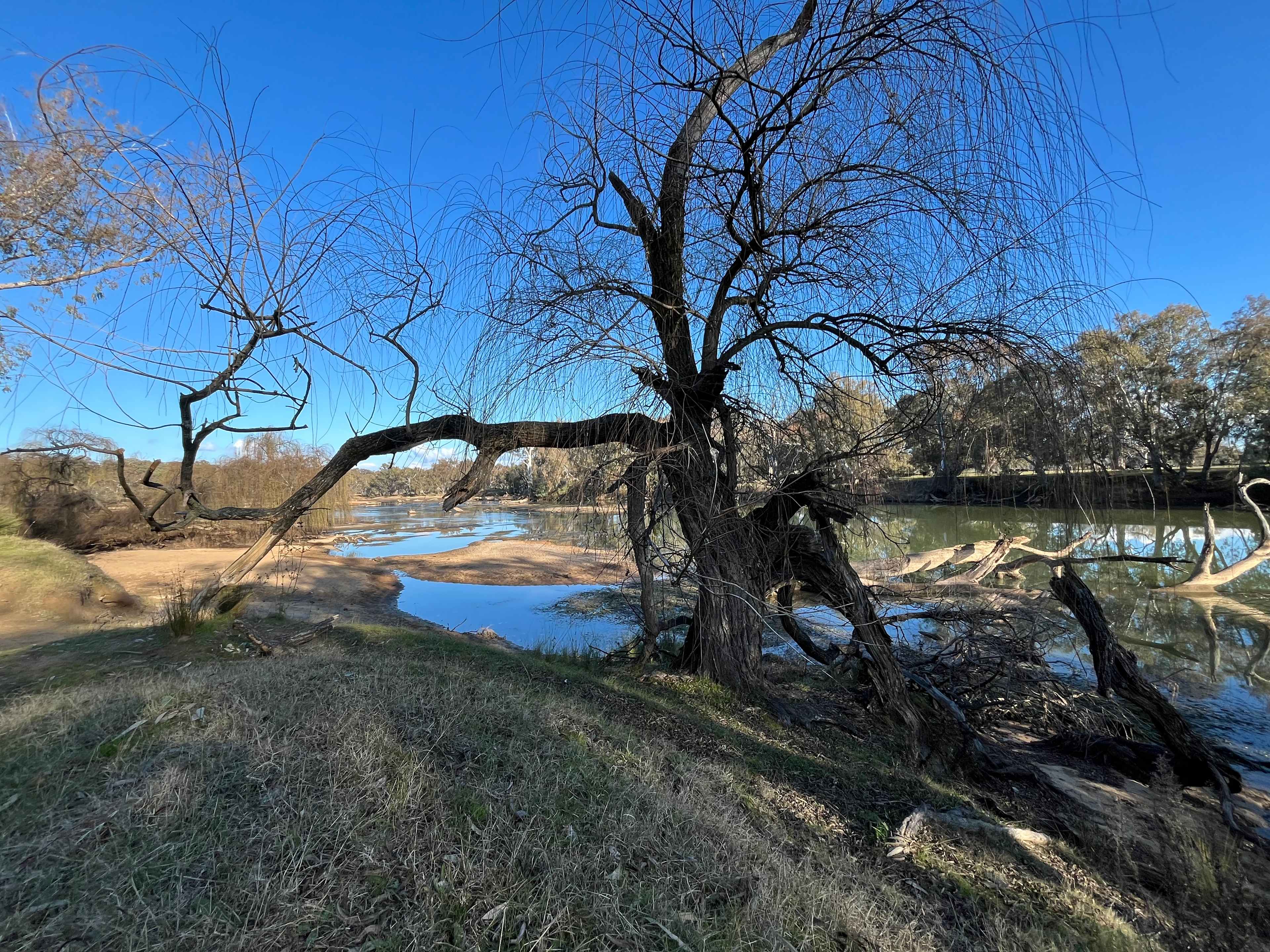 Rolling Hills & Riverside Camping
