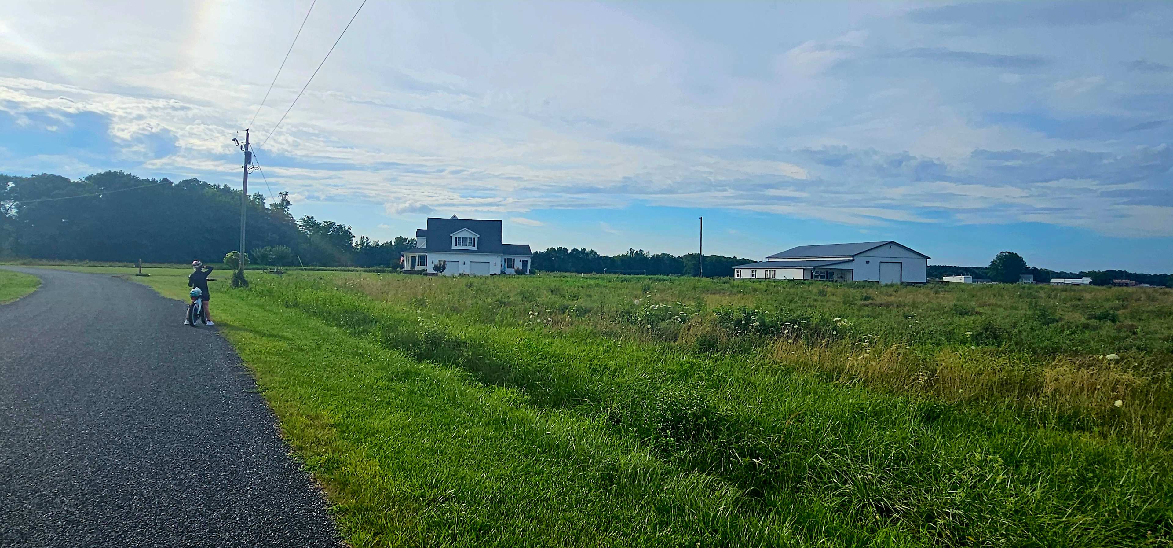 From Forest to Farms