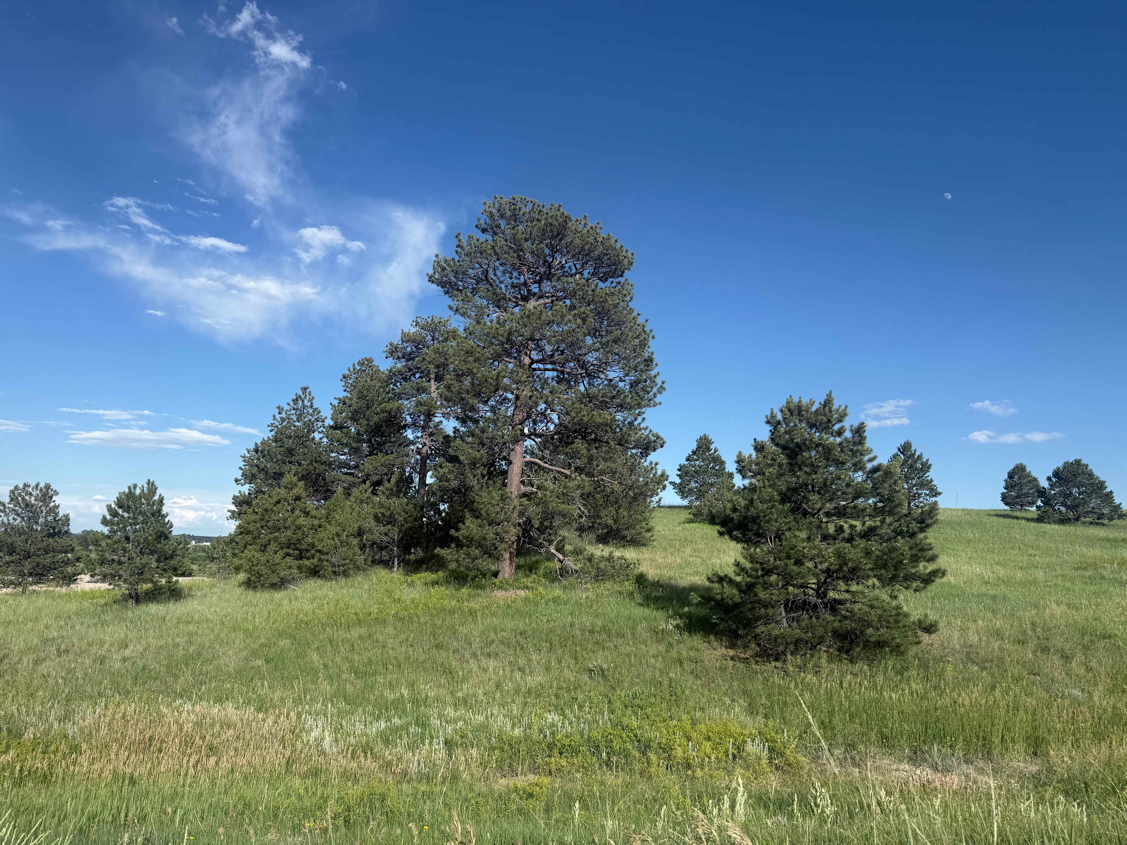120 Acre Animal Sanctuary