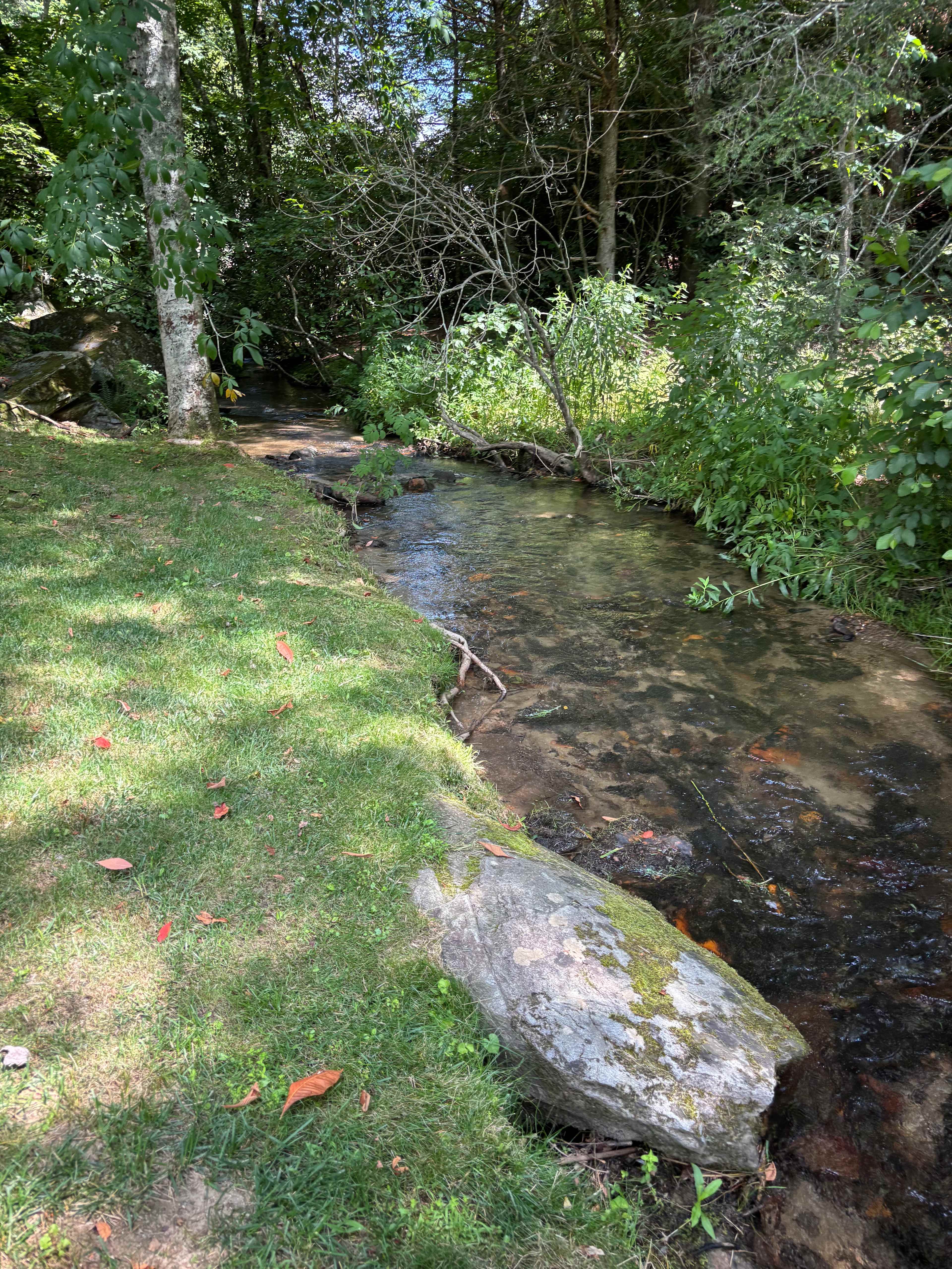Blue Ridge Basecamp