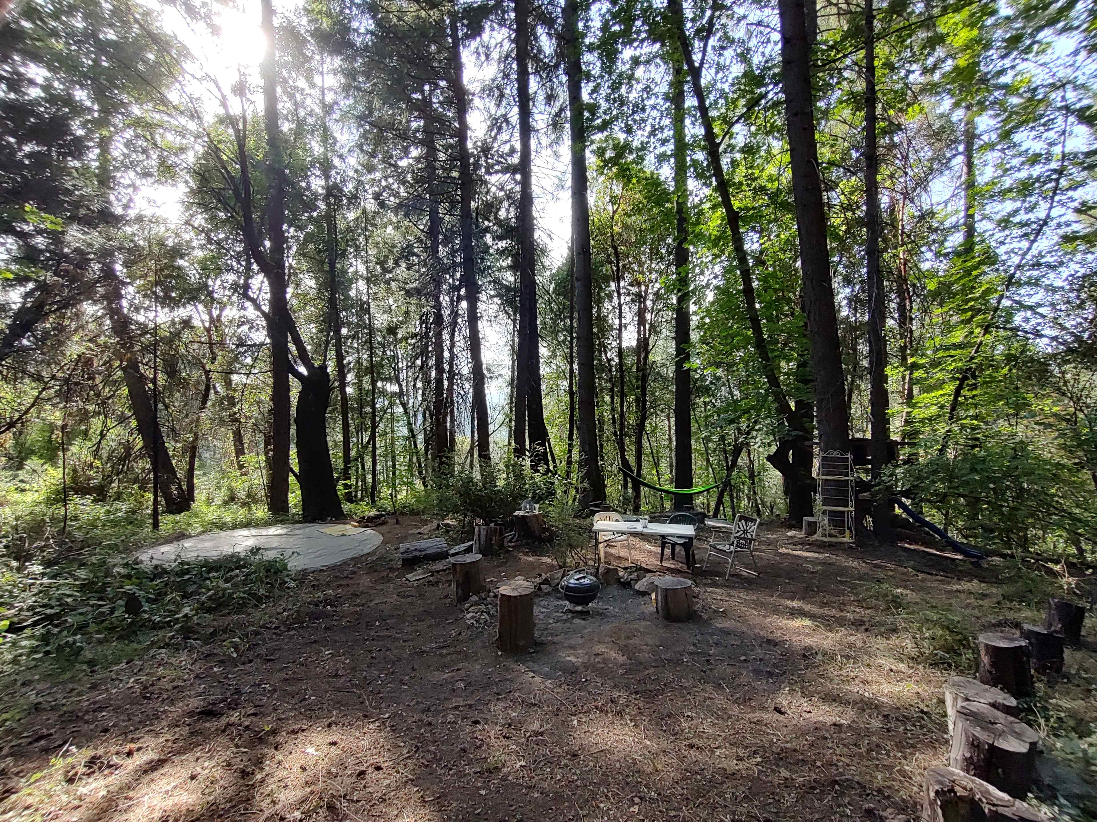 Yuba canyon treehouse retreat