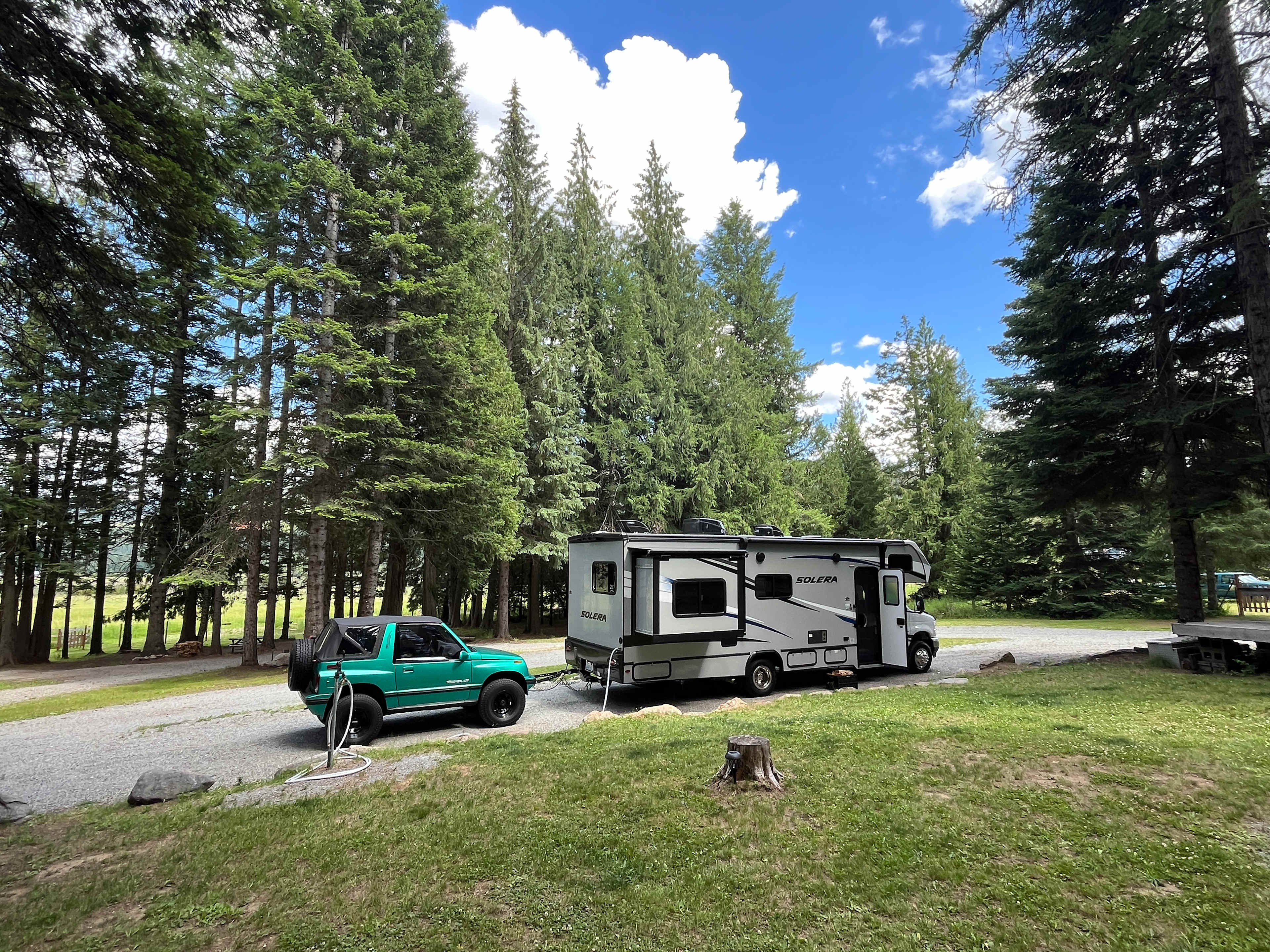 Under the Cedars