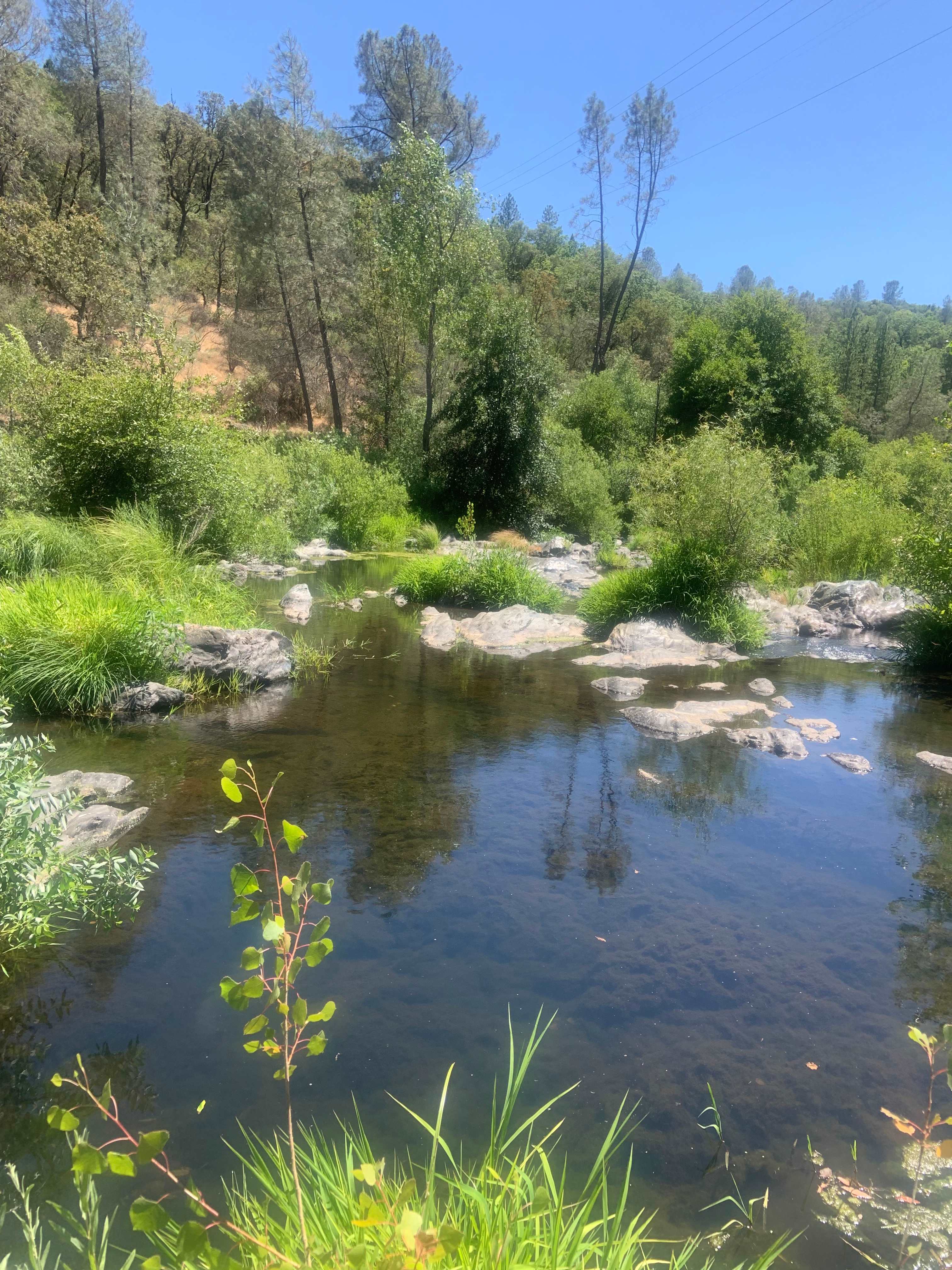 Perfect Getaway with Private Creek