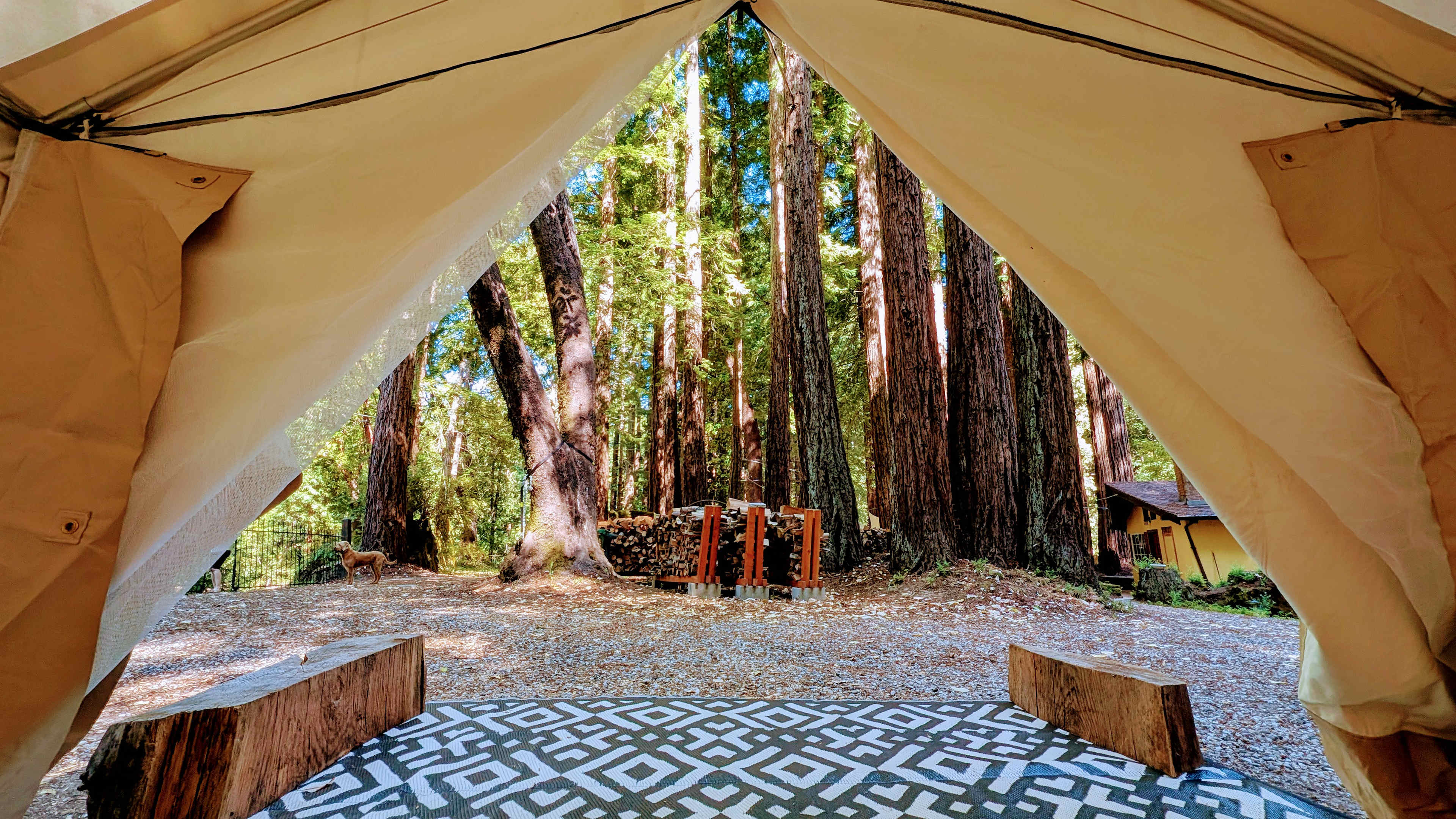Big Basin Creekside Tents