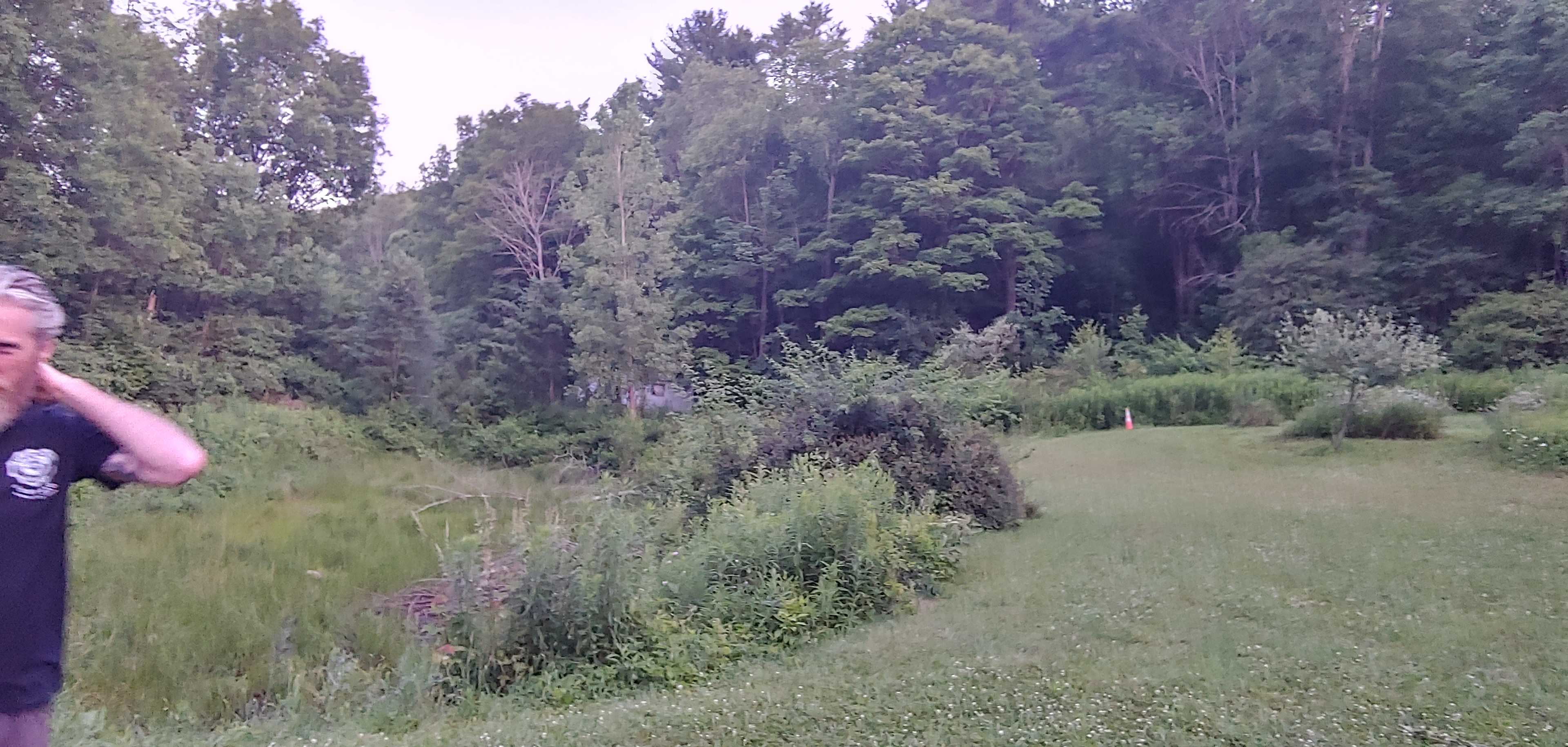 Ingleside Farm