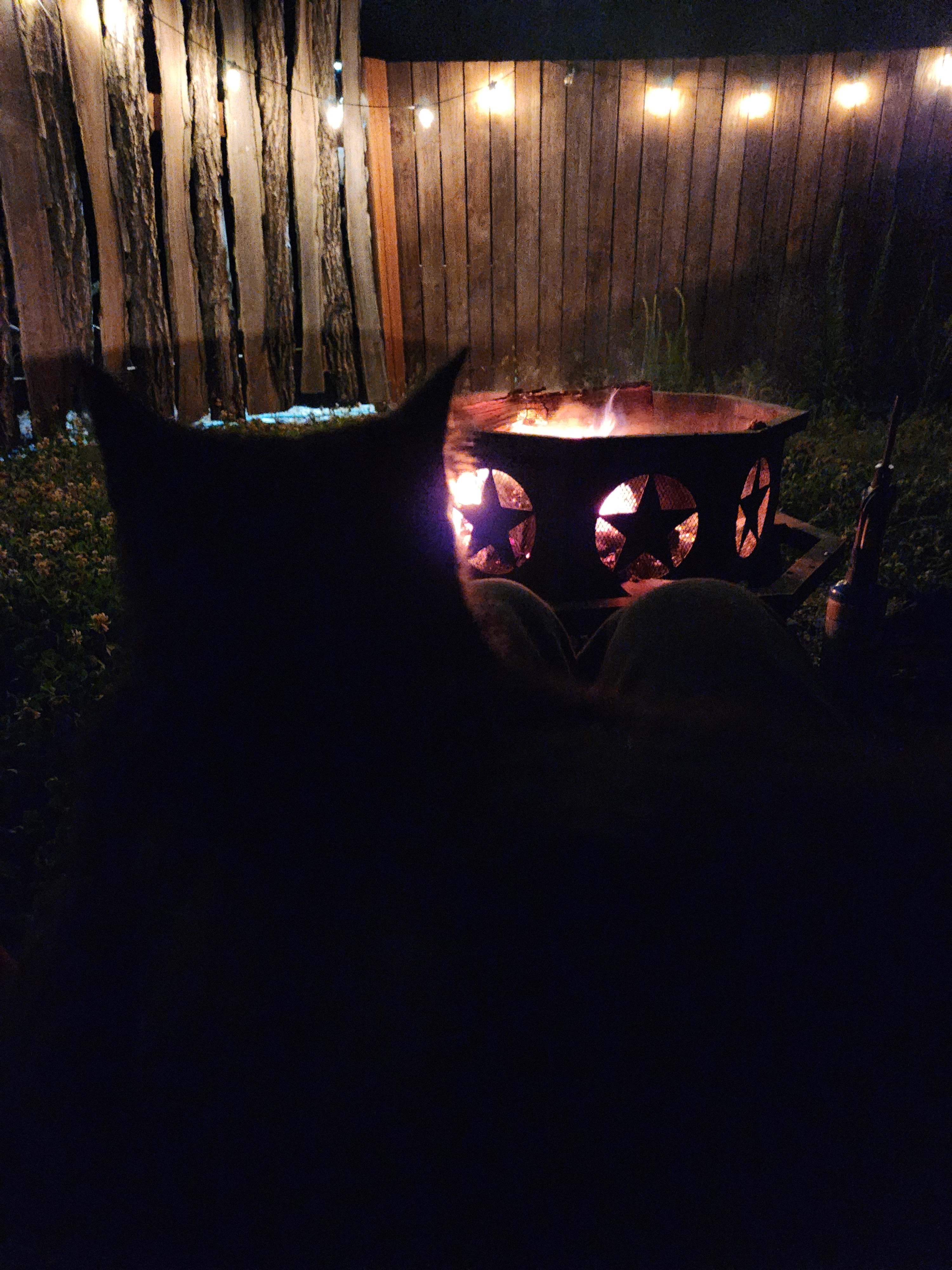 A fire and complimentary cat-cierge service.