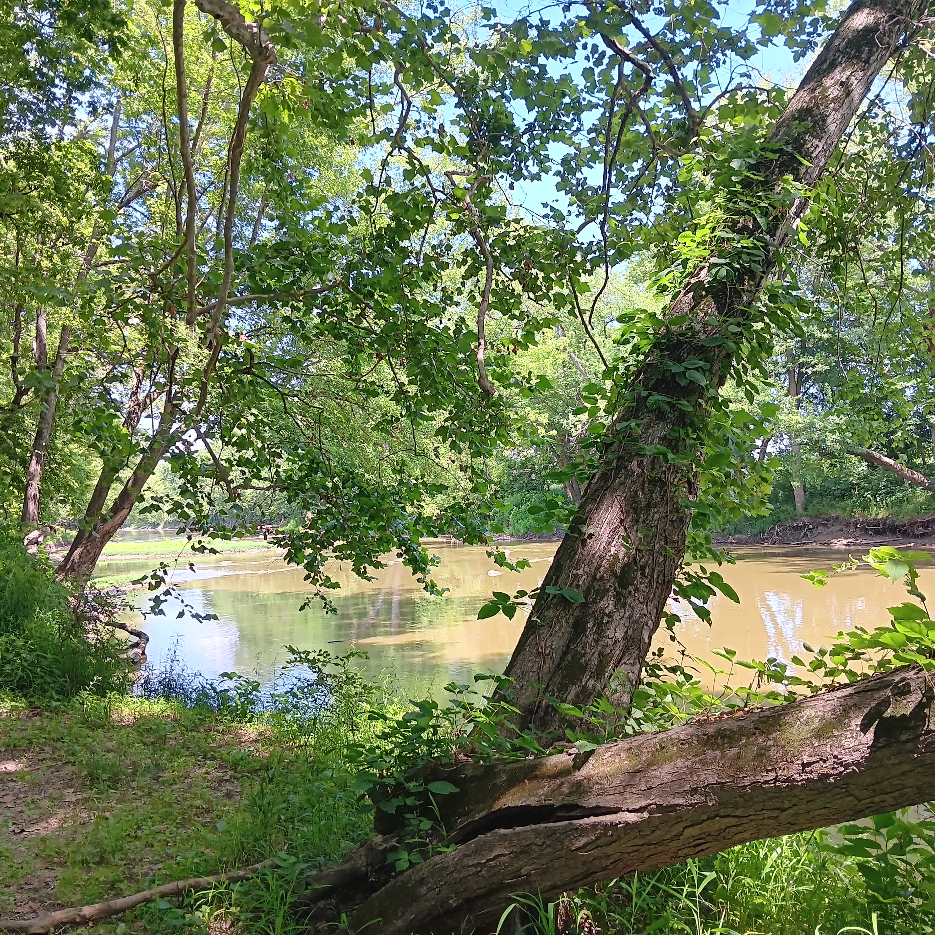 River Camp Fort Wayne