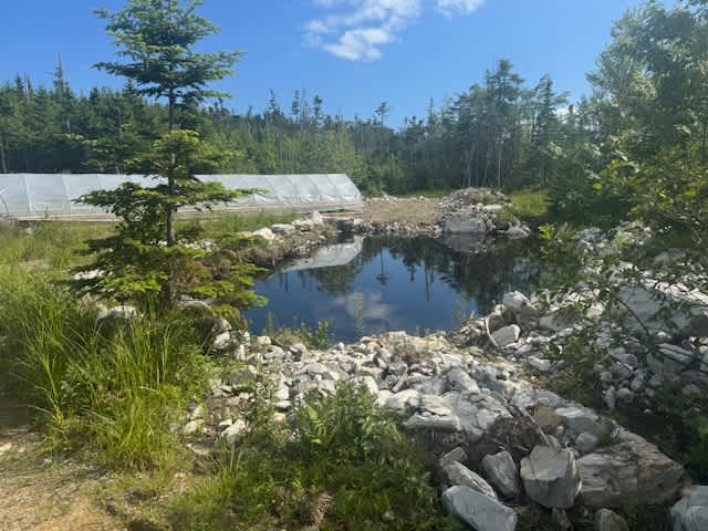 Operational greenhouse and trout pond. Help yourself to any produce during your camping. 